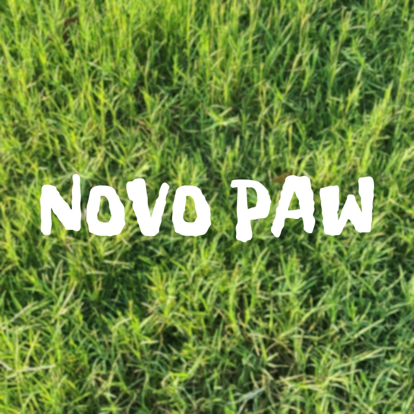 Summer Meadow - Novo Paw
