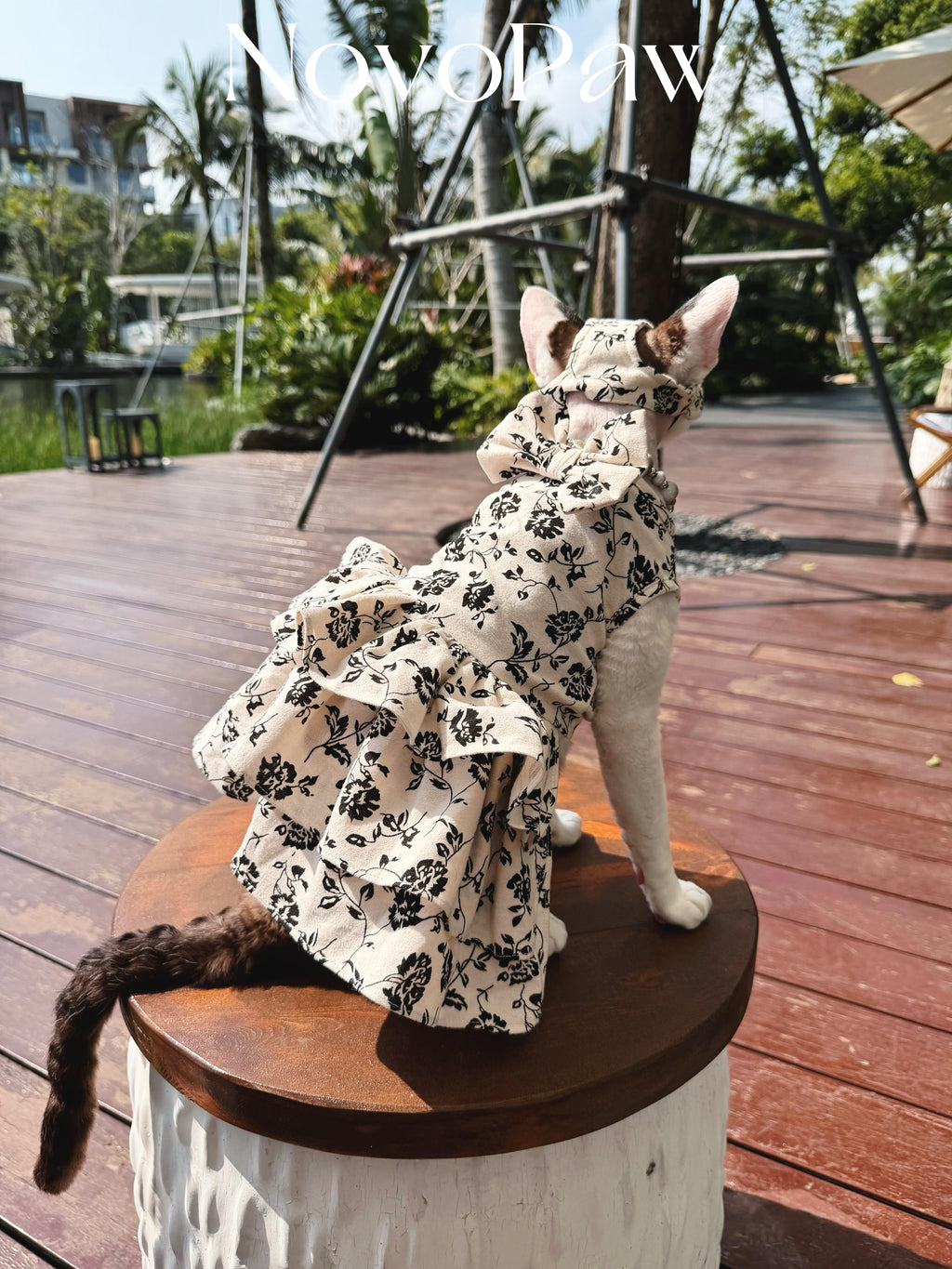 🤍Black White Floral Pet Shirt/Dress Cotton Matching Set - Novo Paw