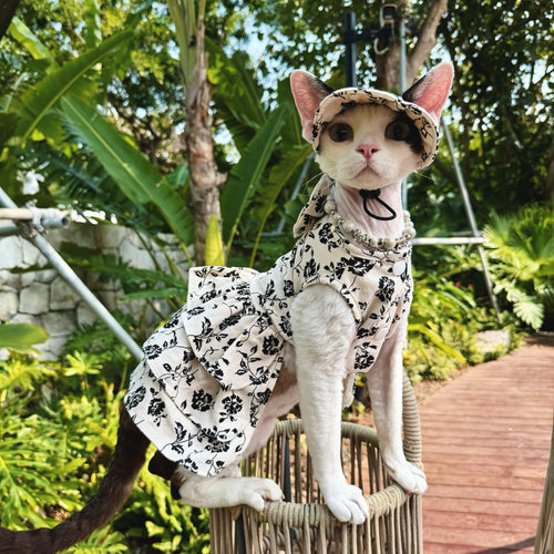 🤍Black White Floral Pet Shirt/Dress Cotton Matching Set - Novo Paw