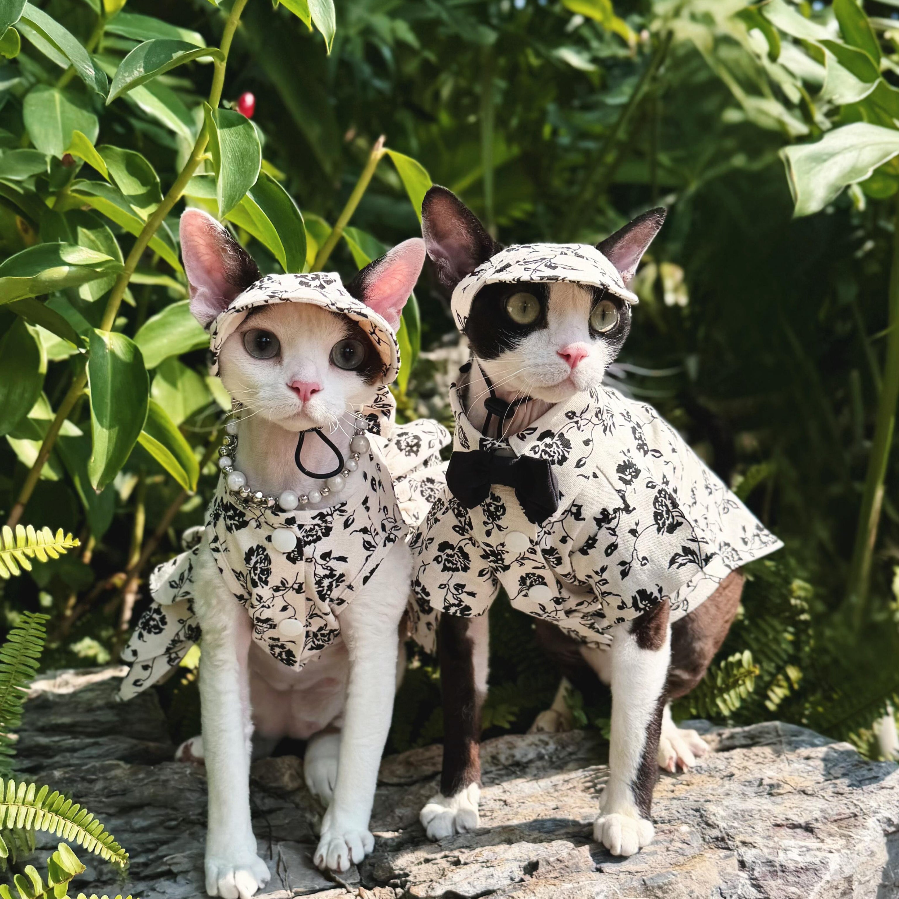 🤍Black White Floral Pet Shirt/Dress Cotton Matching Set - Novo Paw