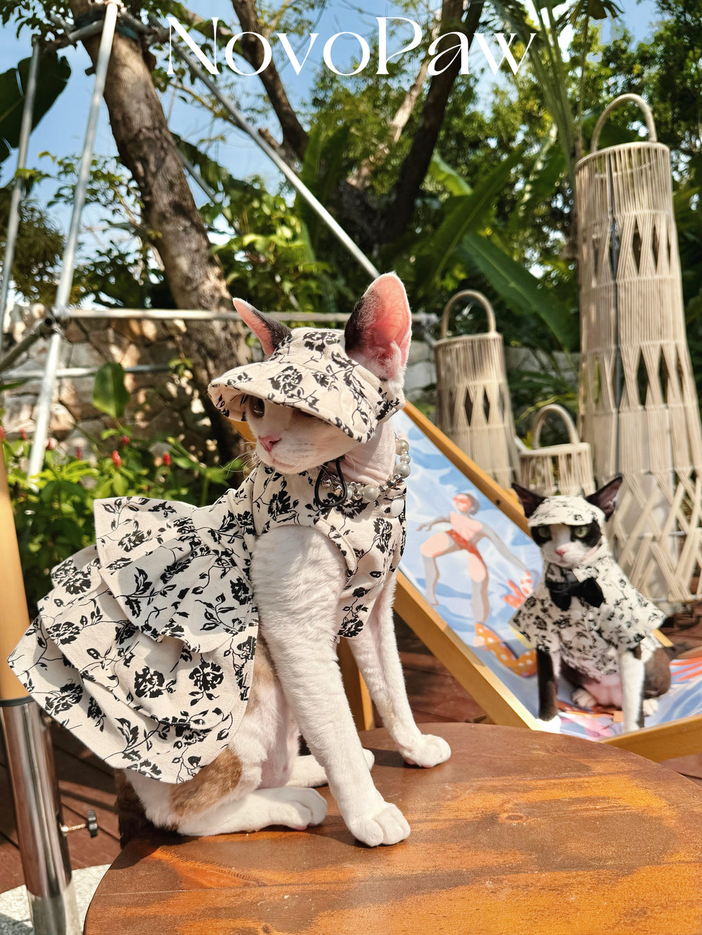 🤍Black White Floral Pet Shirt/Dress Cotton Matching Set - Novo Paw