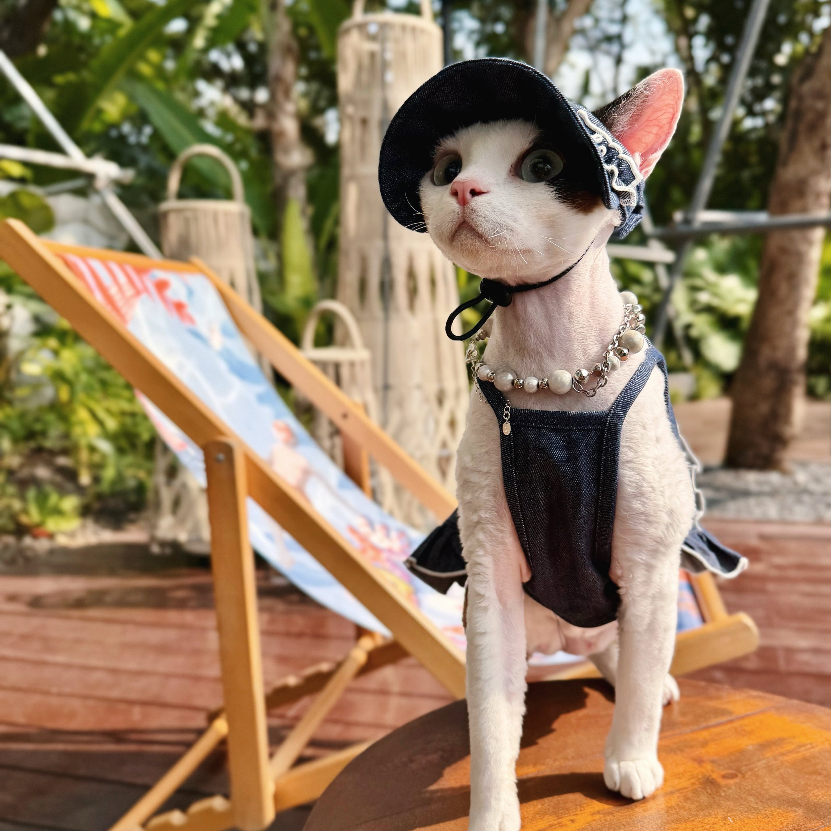 💙Denim Cotton Pet Shirt/Dress Matching Set - Novo Paw