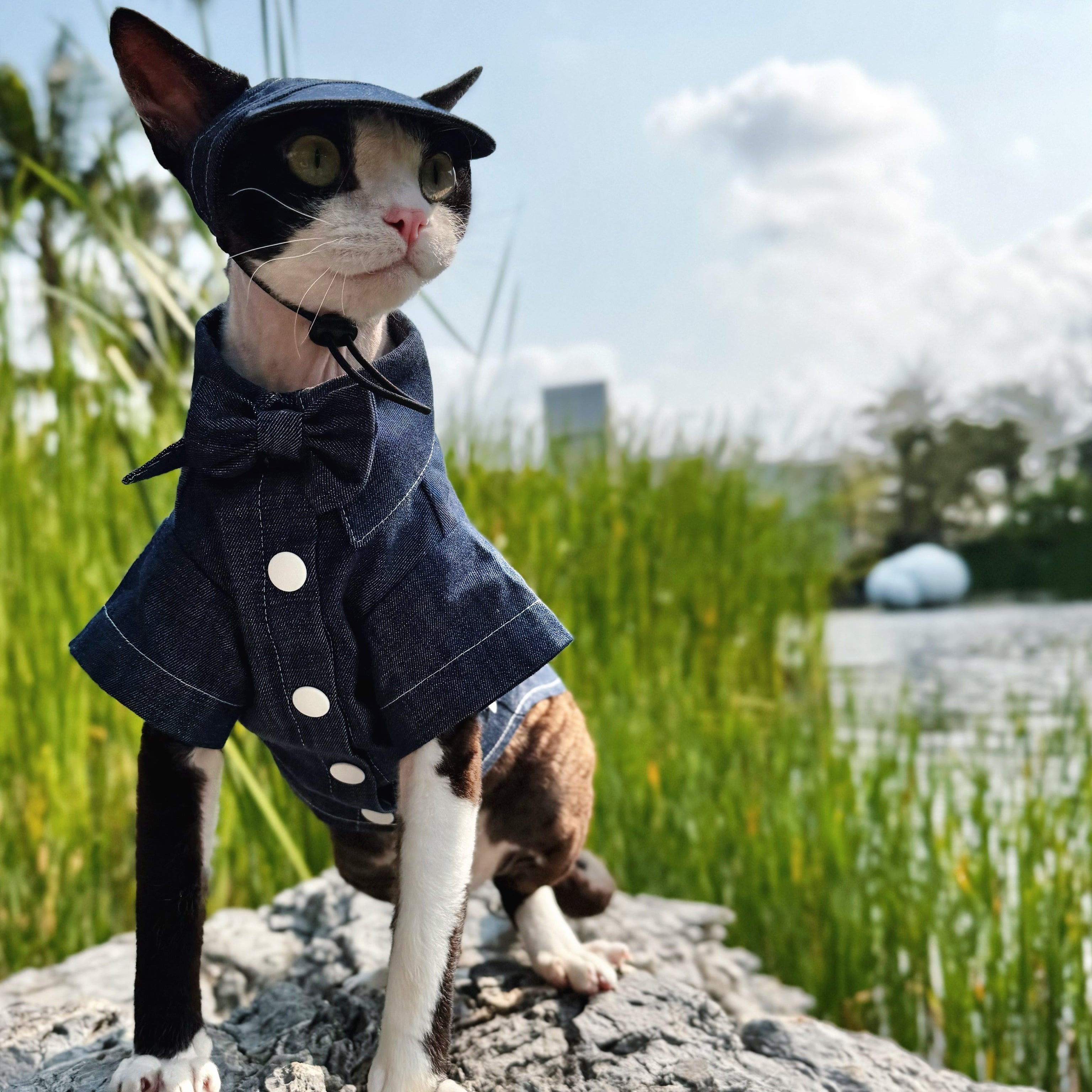 💙Denim Cotton Pet Shirt/Dress Matching Set - Novo Paw