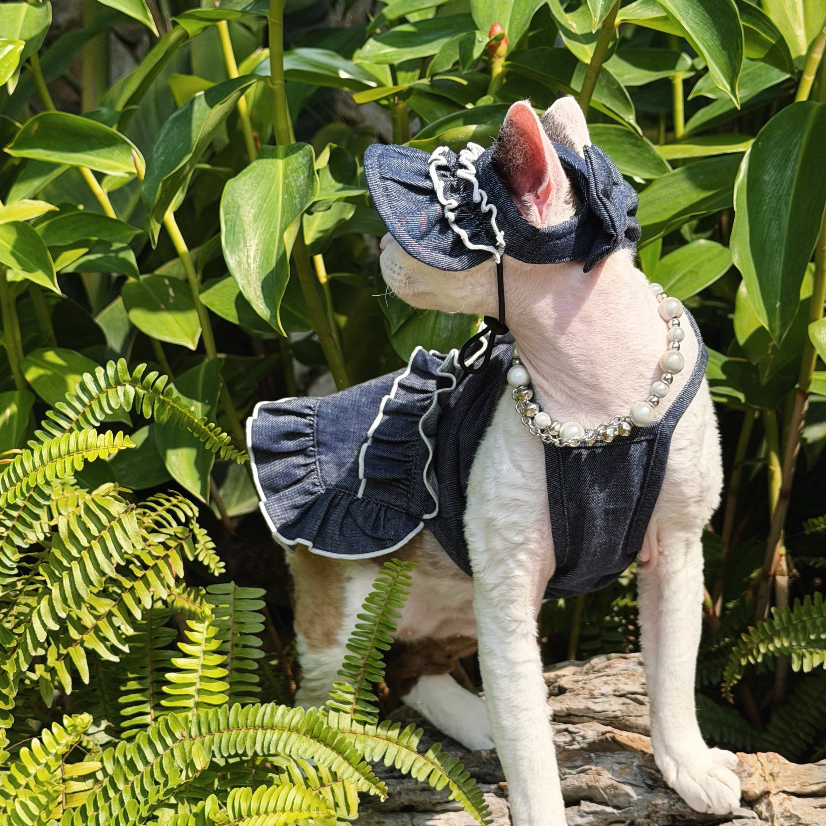 💙Denim Cotton Pet Shirt/Dress Matching Set - Novo Paw