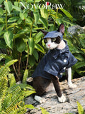 Cat Denim Shirt Outfit – 100% Cotton Breathable Apparel for Sphynx & Devon Rex