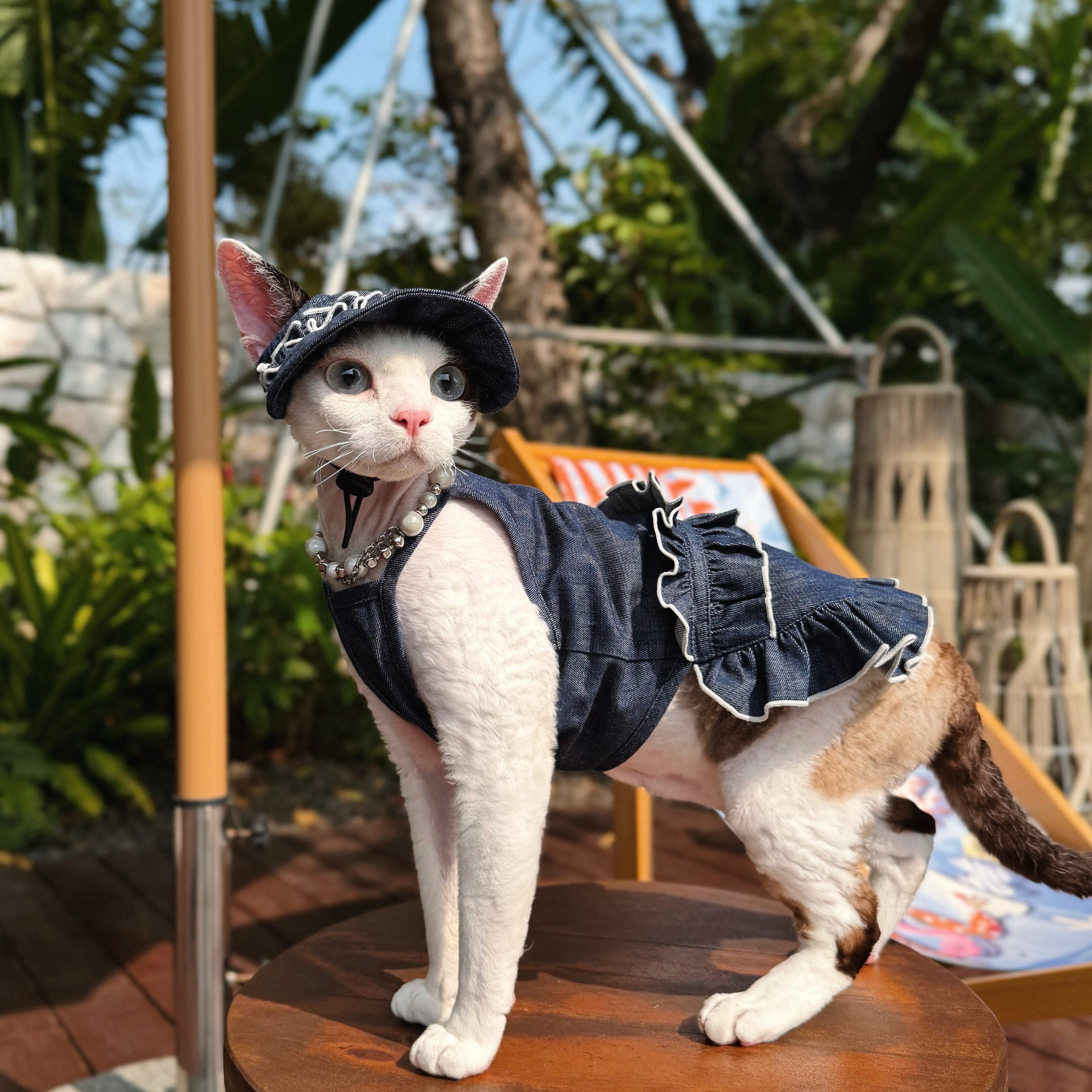 💙Denim Cotton Pet Shirt/Dress Matching Set - Novo Paw