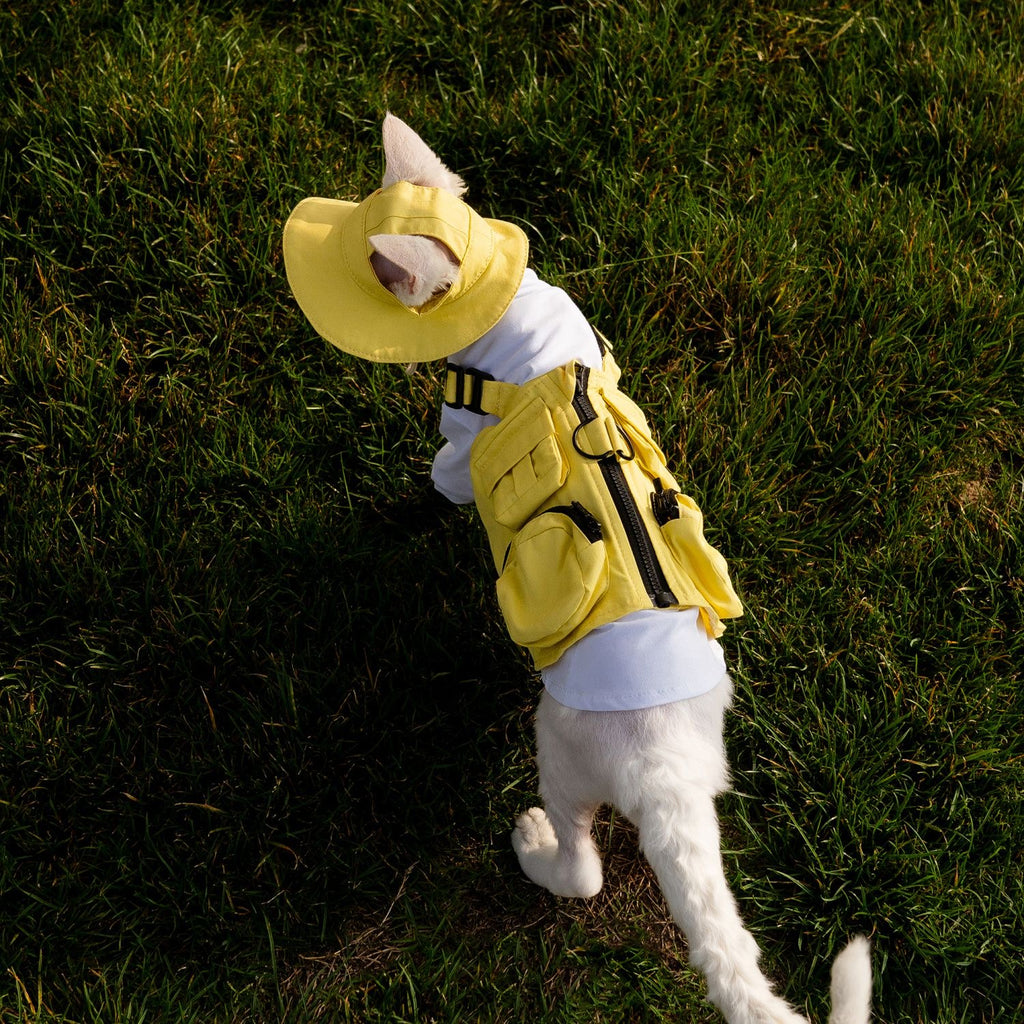 🤎💛💚Camping Outdoor Pet 2-Piece Outfit, Functional Pocket & Leash Compatible Design - Novo Paw