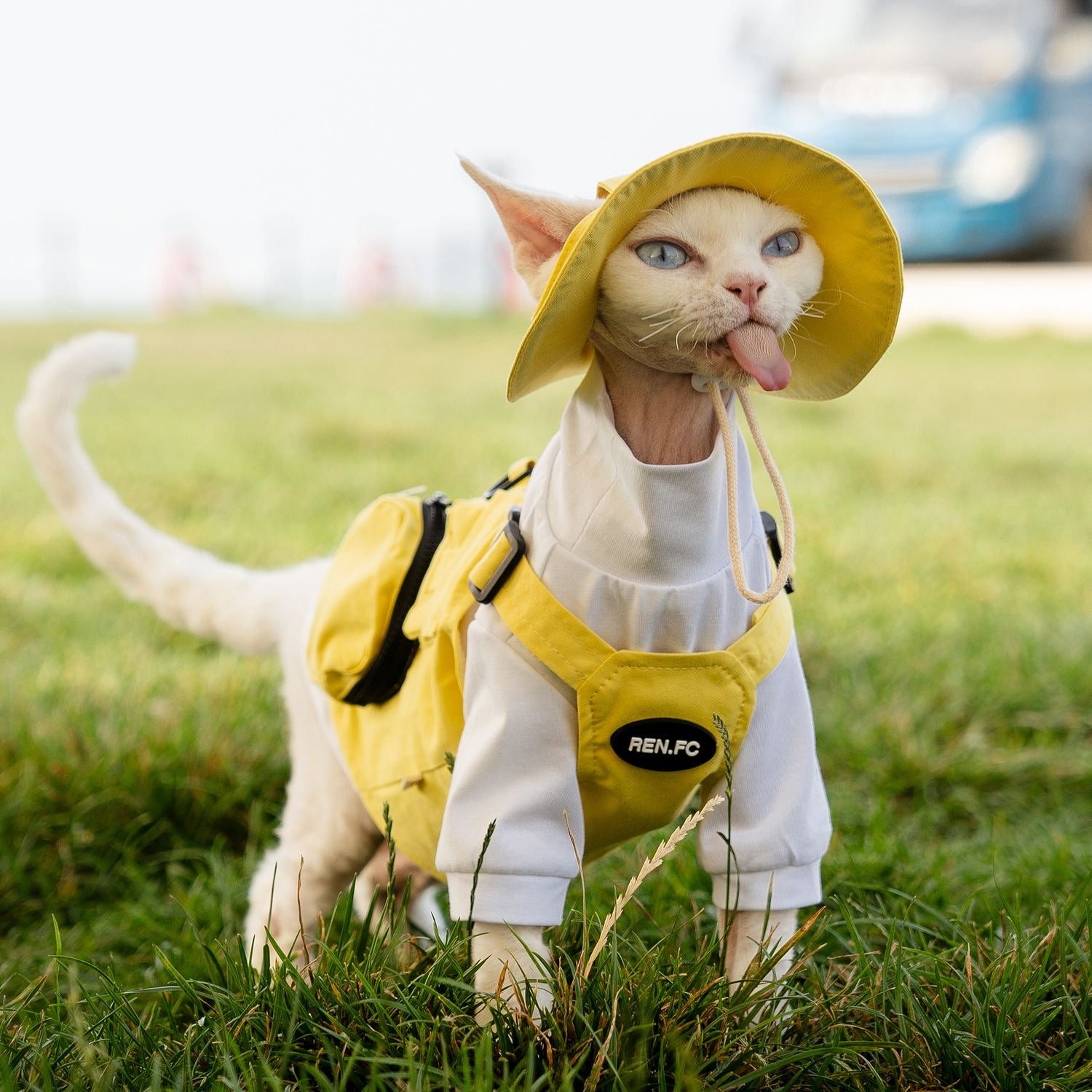 🤎💛💚Camping Outdoor Pet 2-Piece Outfit, Functional Pocket & Leash Compatible Design - Novo Paw