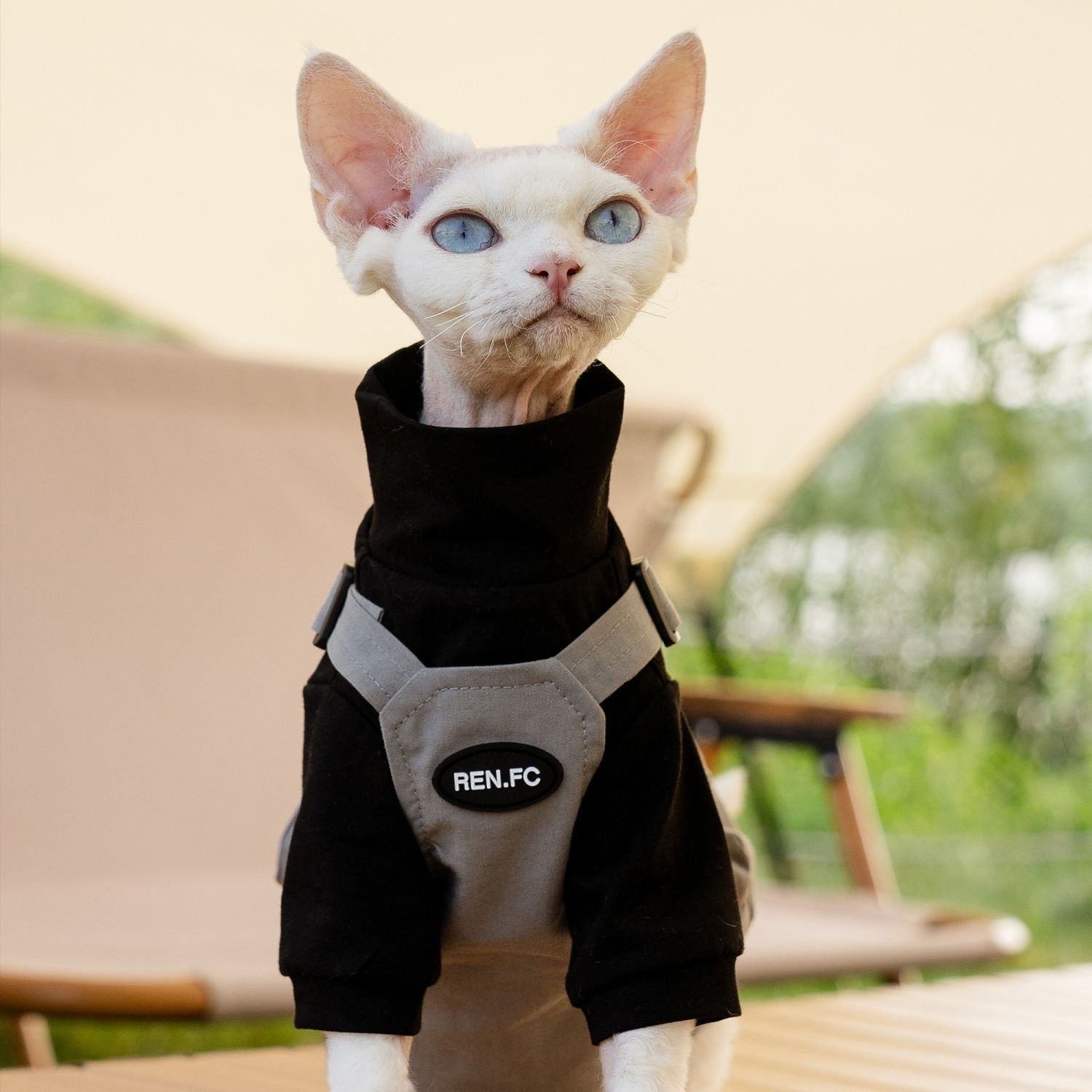 🤎💛💚Camping Outdoor Pet 2-Piece Outfit, Functional Pocket & Leash Compatible Design - Novo Paw