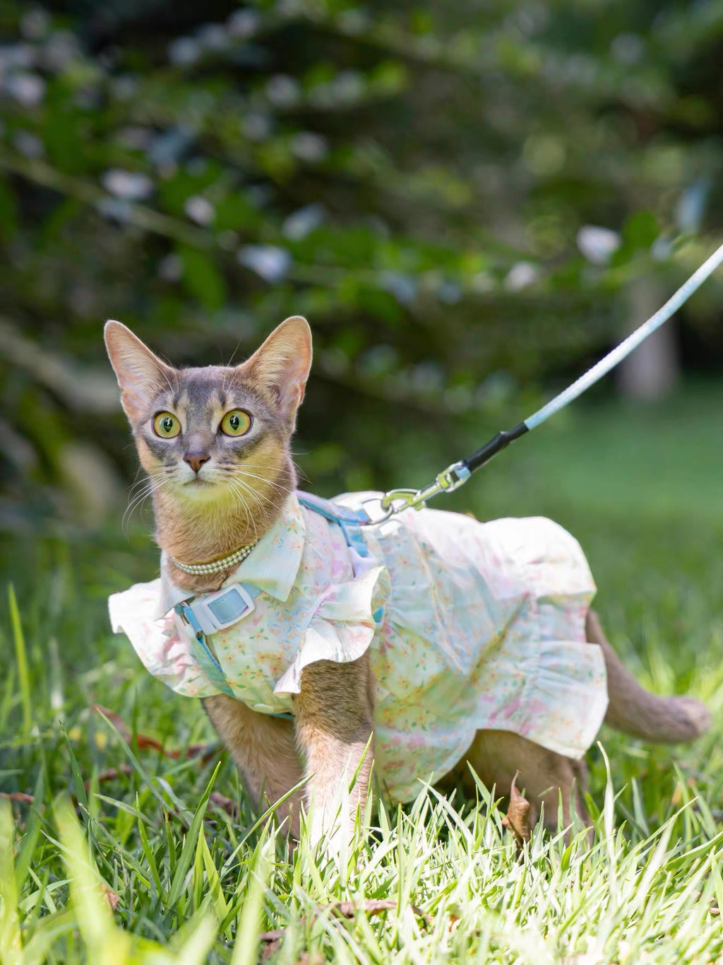 💚Color Block Floral Cotton Pet Dress - Novo Paw