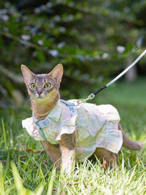 💚Color Block Floral Cotton Pet Dress - Novo Paw