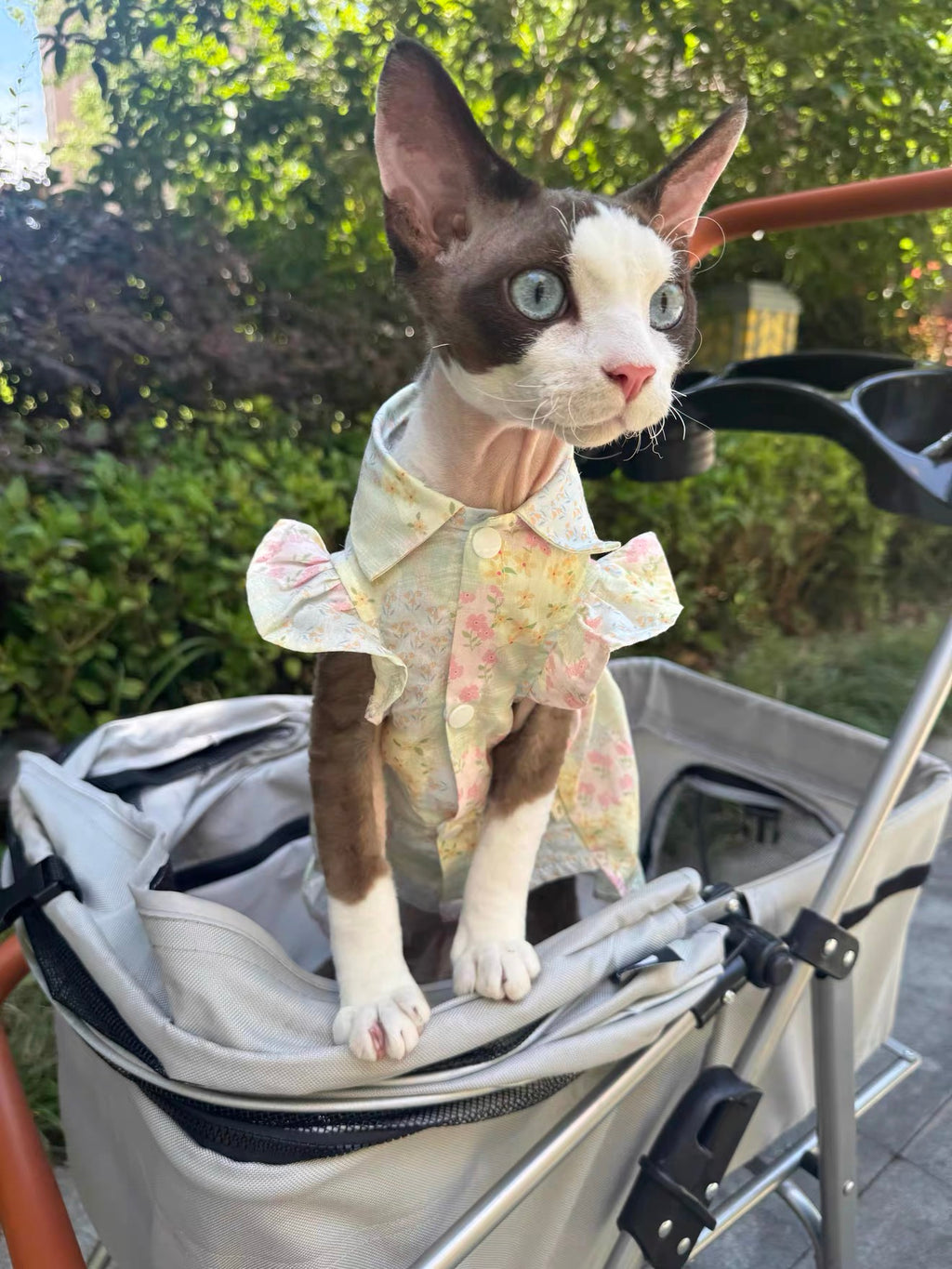 💚Color Block Floral Cotton Pet Dress - Novo Paw