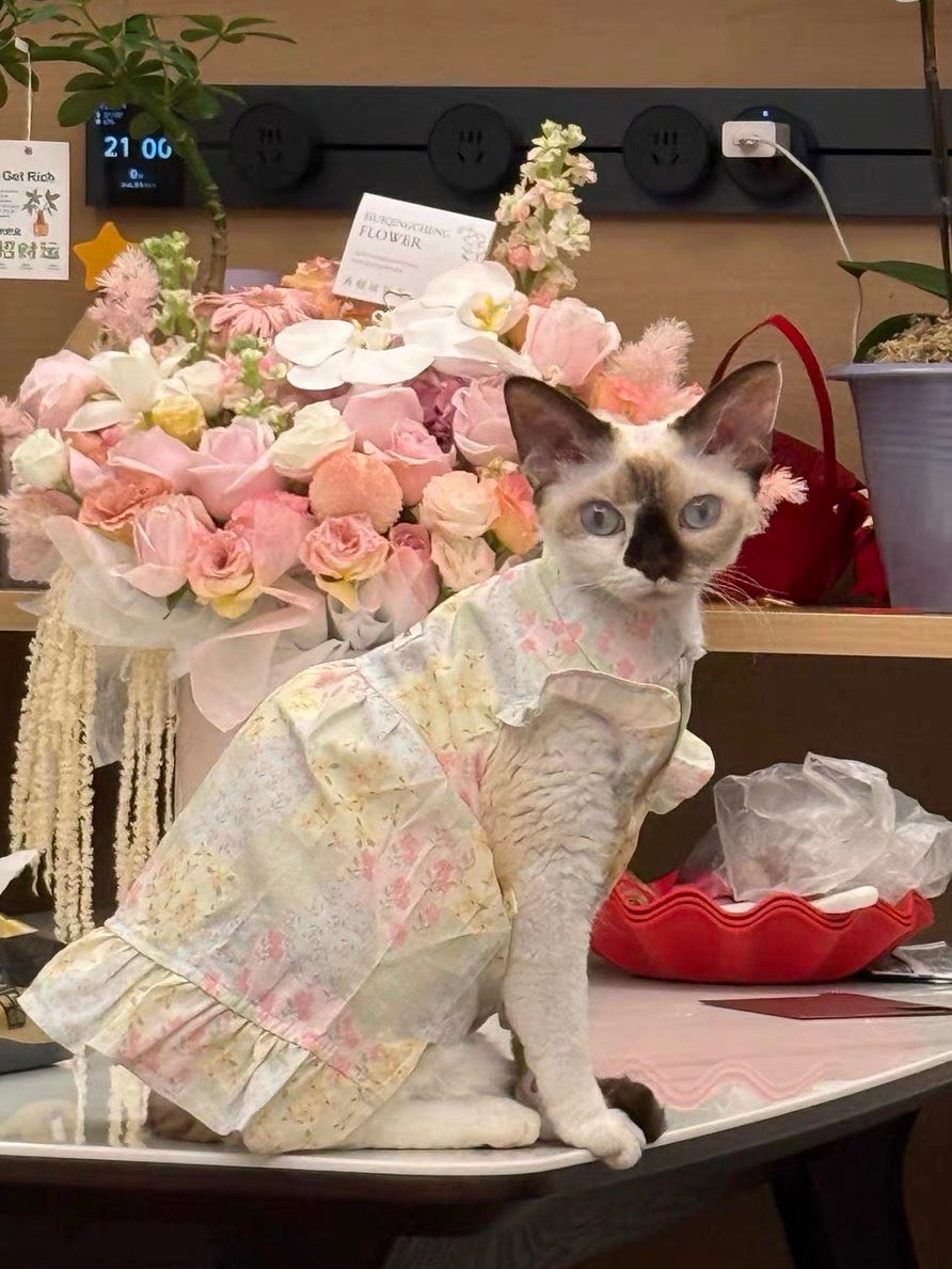 💚Color Block Floral Cotton Pet Dress - Novo Paw