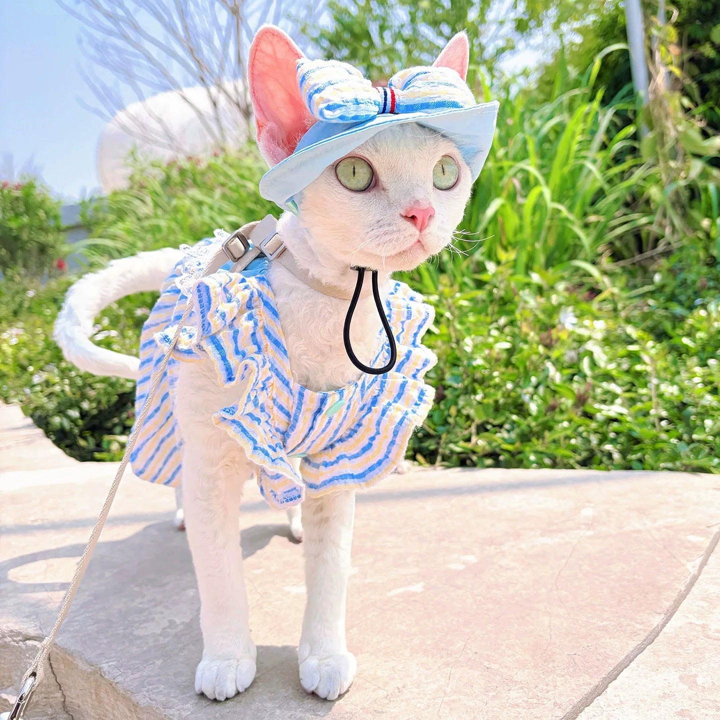 Striped Pet Set | 3 Styles Available