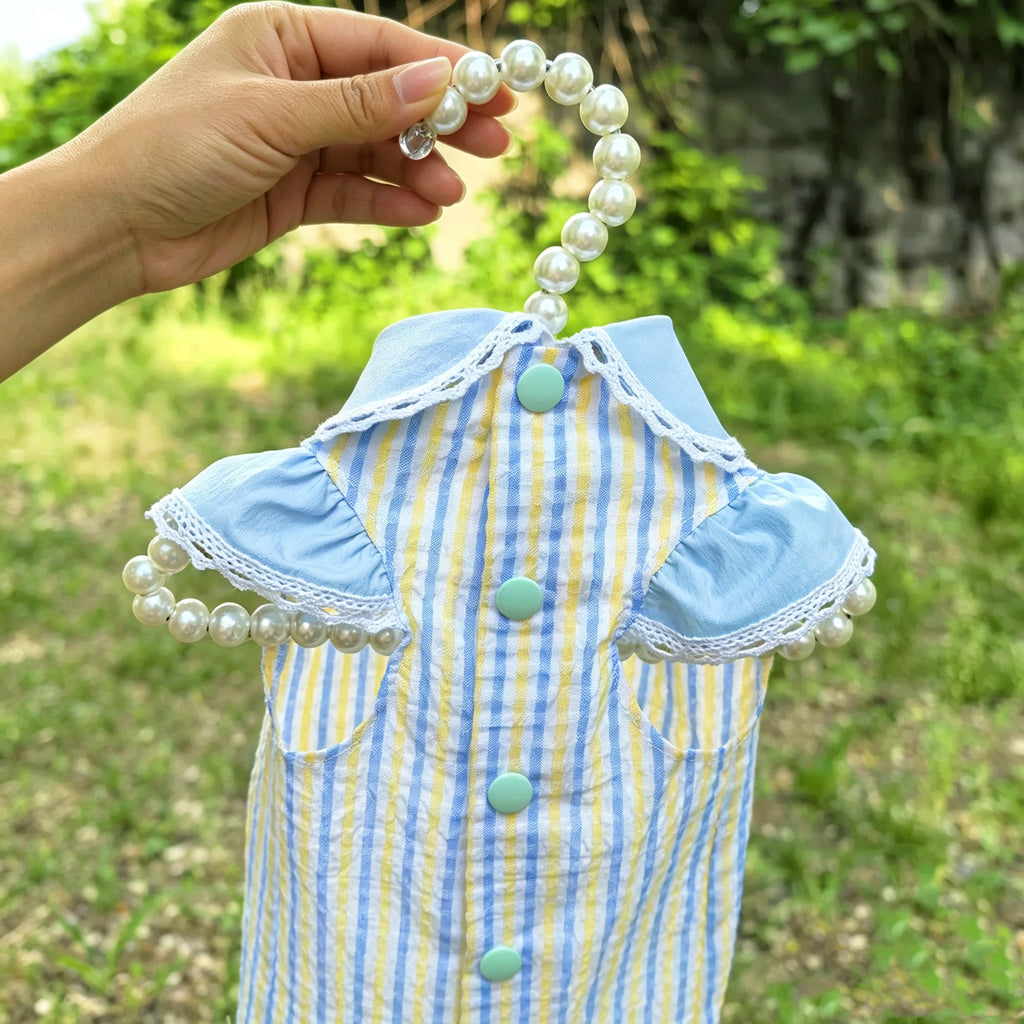 Striped Pet Set | 3 Styles Available