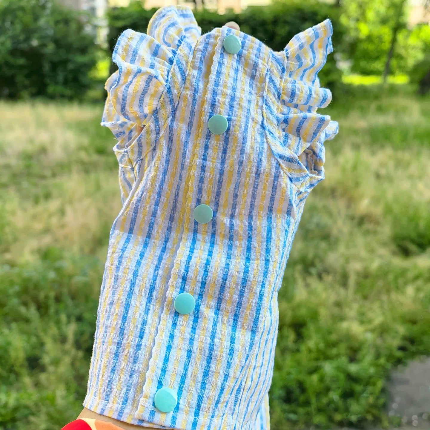 Striped Pet Set | 3 Styles Available