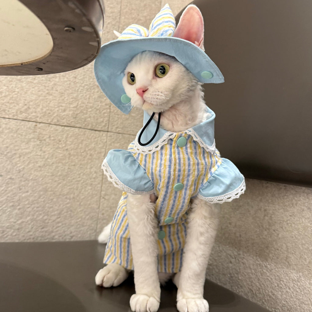 Striped Pet Set | 3 Styles Available