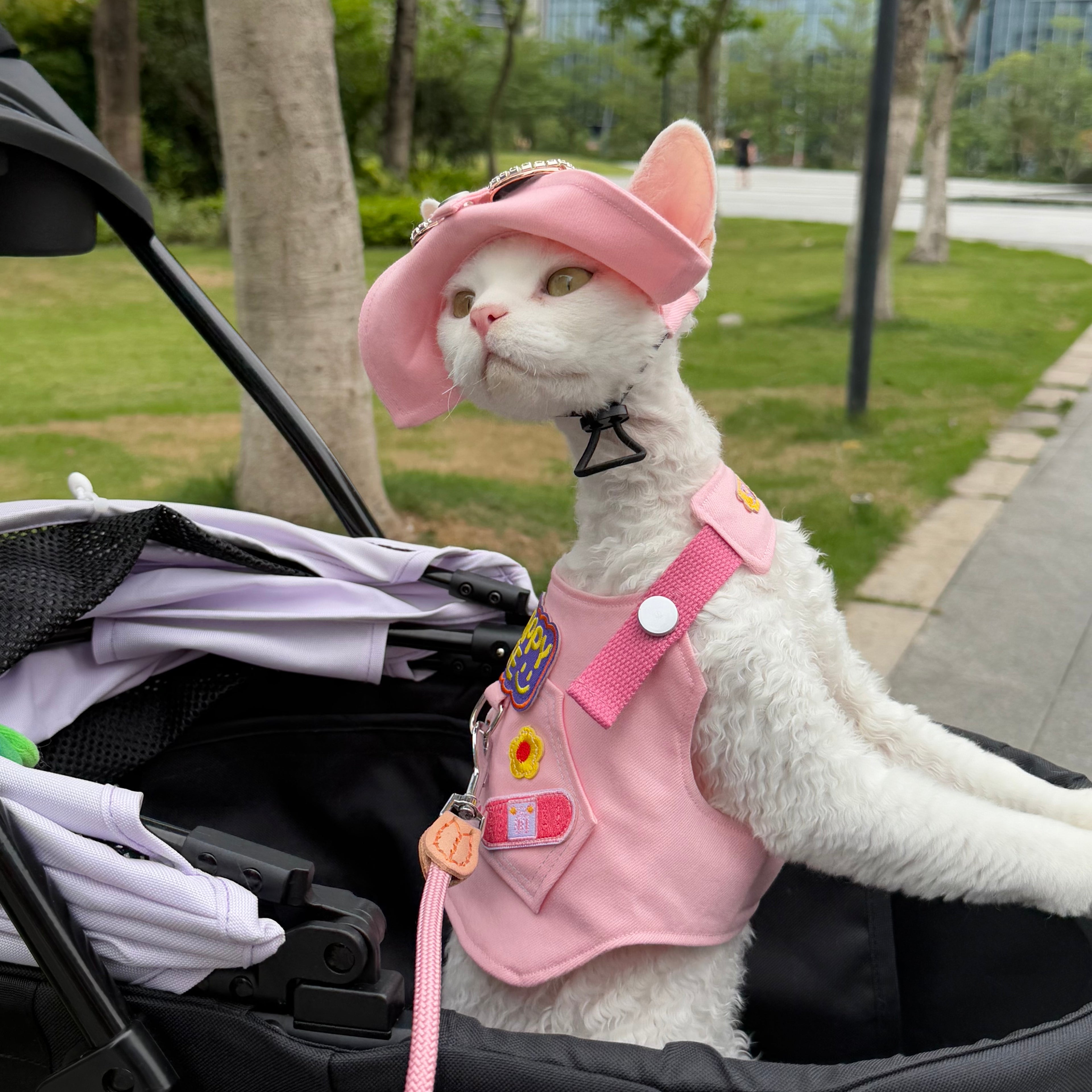 🩷Pink Outdoor Harness and Leash Set Escape Proof - Novo Paw