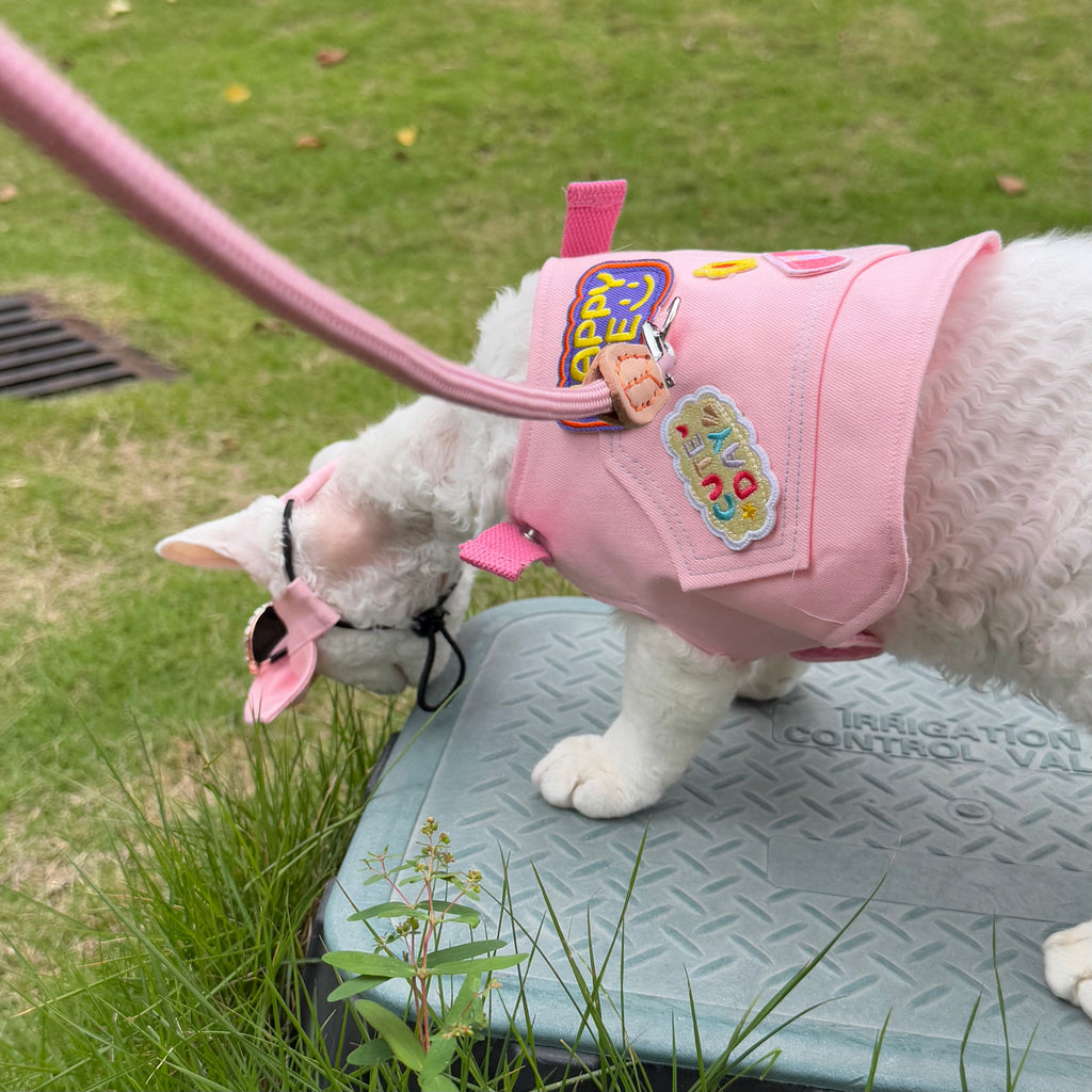 🩷Pink Outdoor Harness and Leash Set Escape Proof - Novo Paw