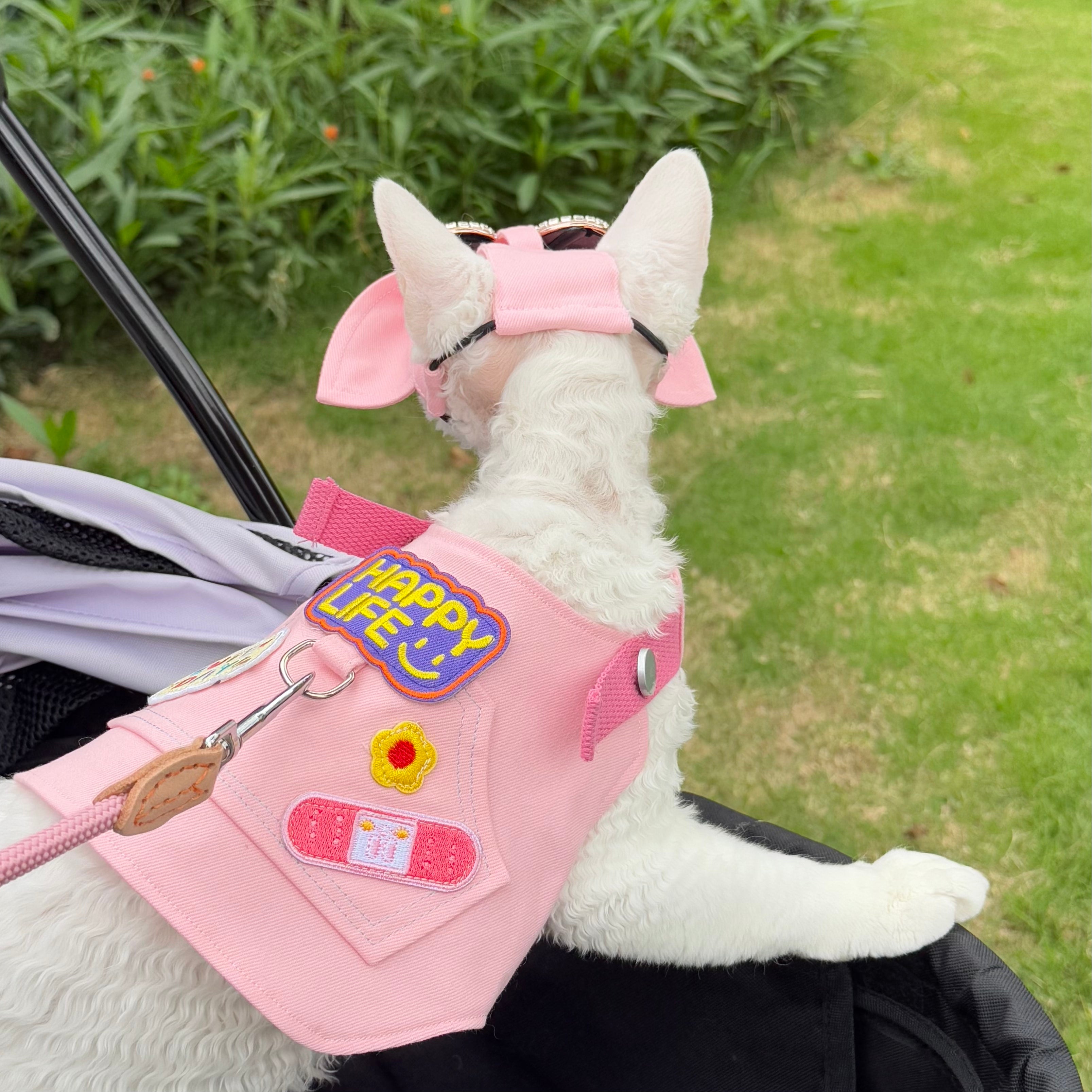 🩷Pink Outdoor Harness and Leash Set Escape Proof - Novo Paw