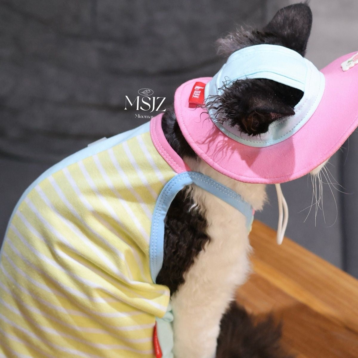🩷💛Color Block Contrast Patchwork Cotton Pet Clothes Two Piece Set - Novo Paw