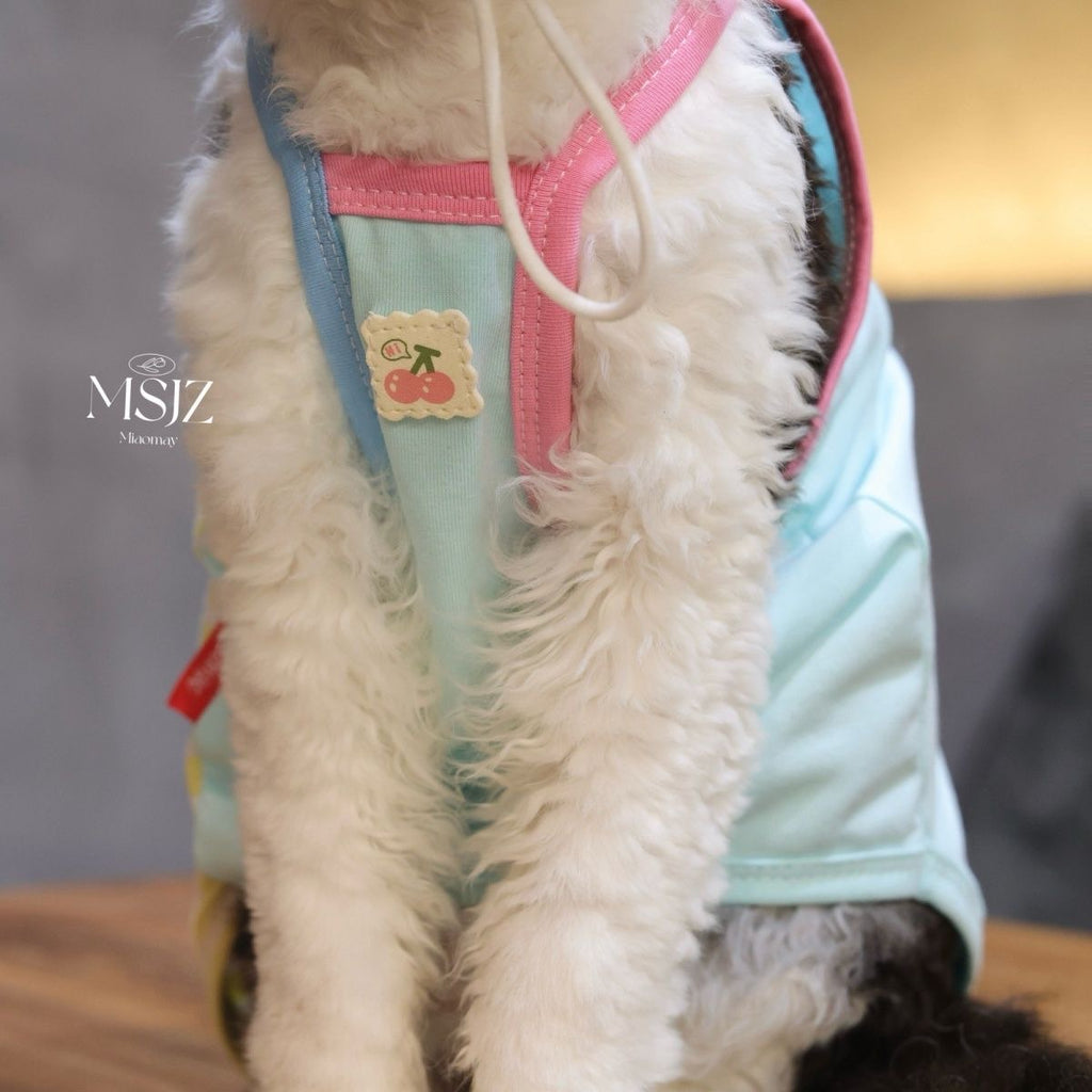 🩷💛Color Block Contrast Patchwork Cotton Pet Clothes Two Piece Set - Novo Paw