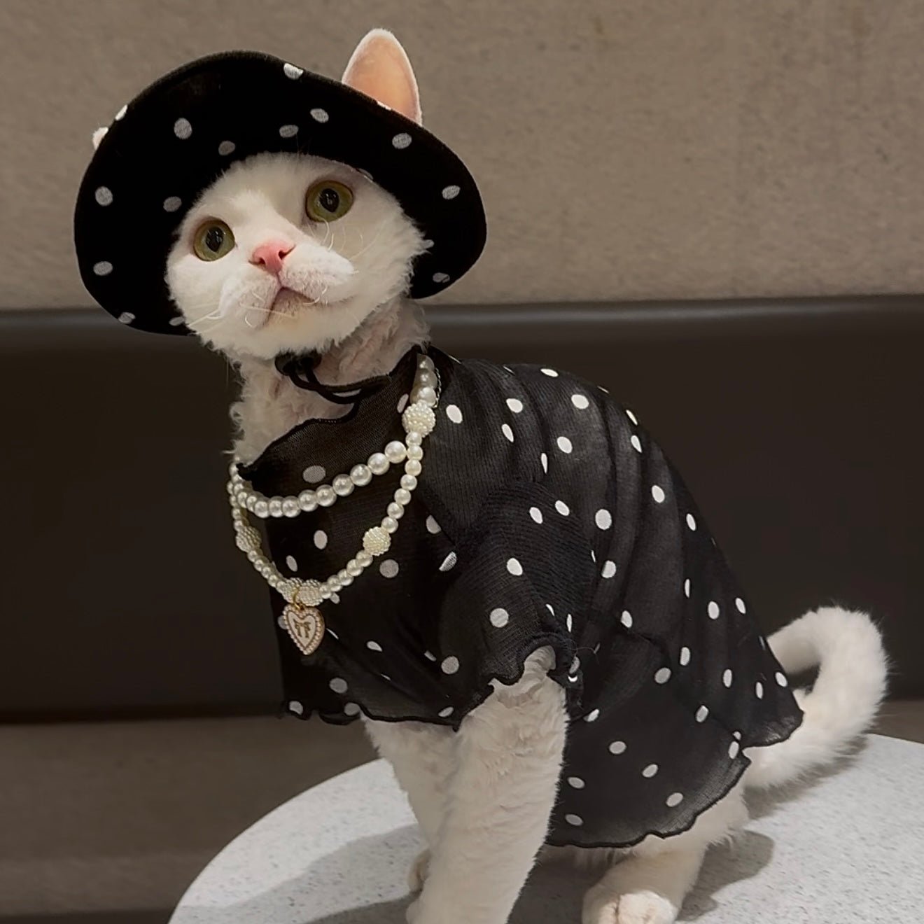 🤍🖤Pet Polka Dot Mesh Breathable Outfit Set - Novo Paw