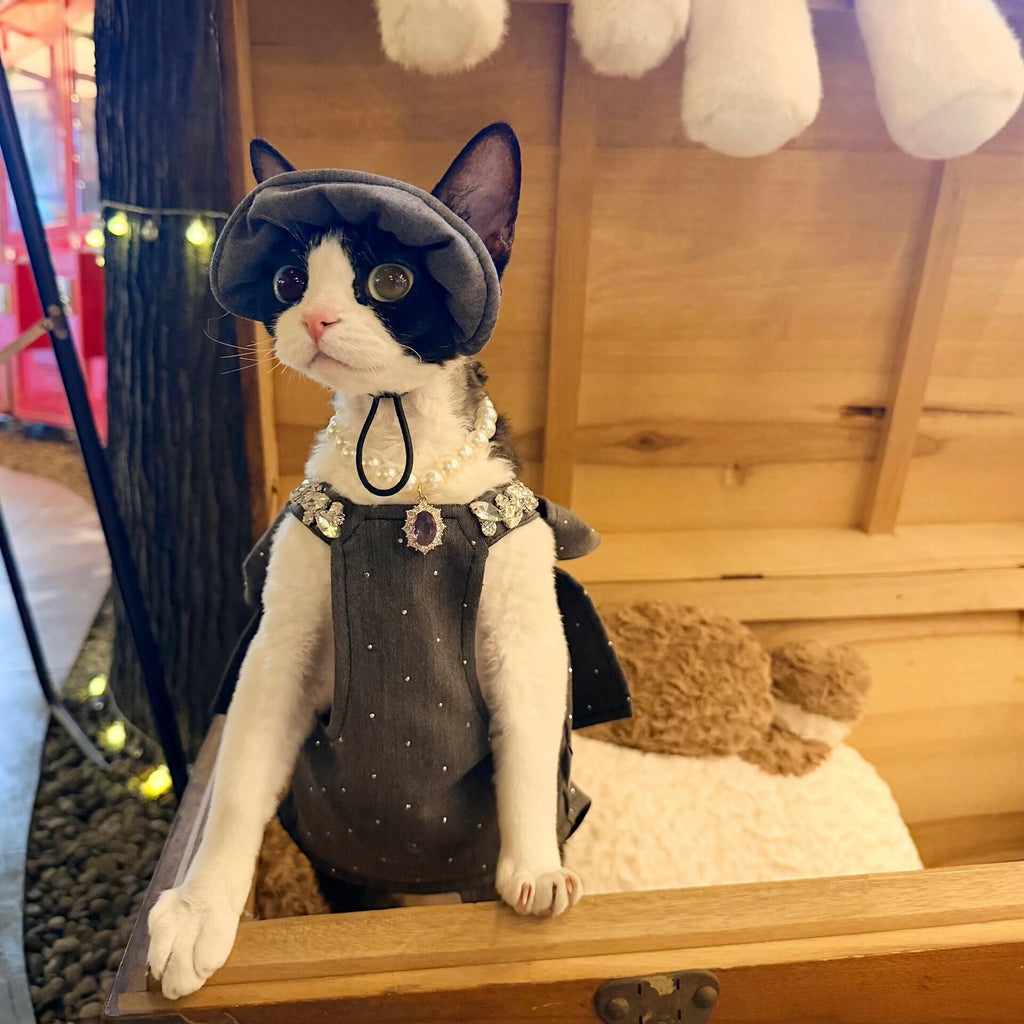 🩶🖤Pet Birthday Gown, Bow Rhinestone Luxury Custom Design - Novo Paw