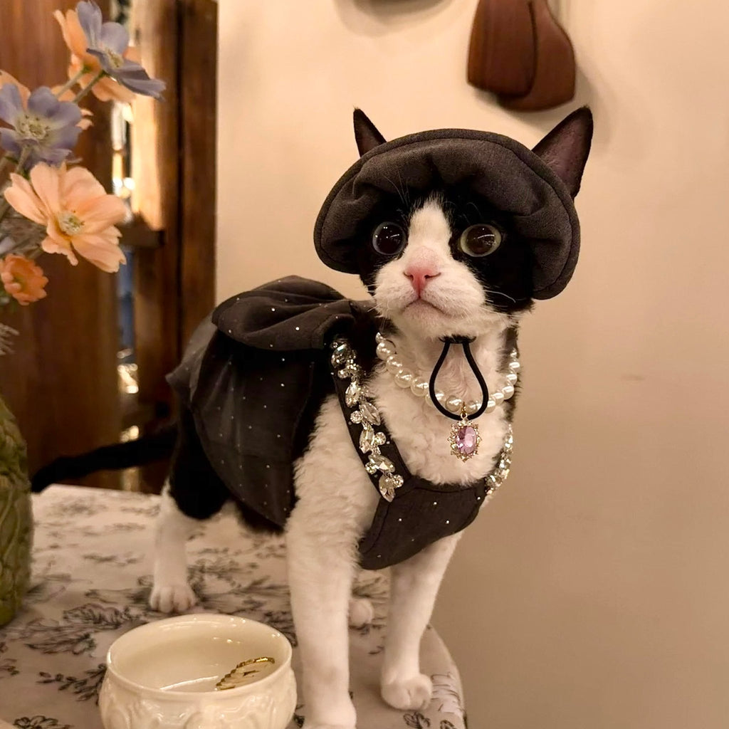 🩶🖤Pet Birthday Gown, Bow Rhinestone Luxury Custom Design - Novo Paw