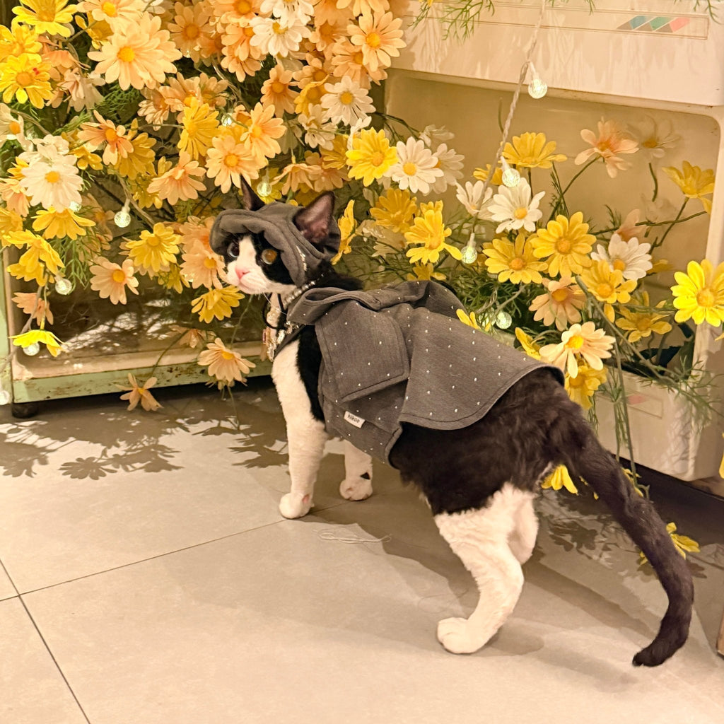 🩶🖤Pet Birthday Gown, Bow Rhinestone Luxury Custom Design - Novo Paw