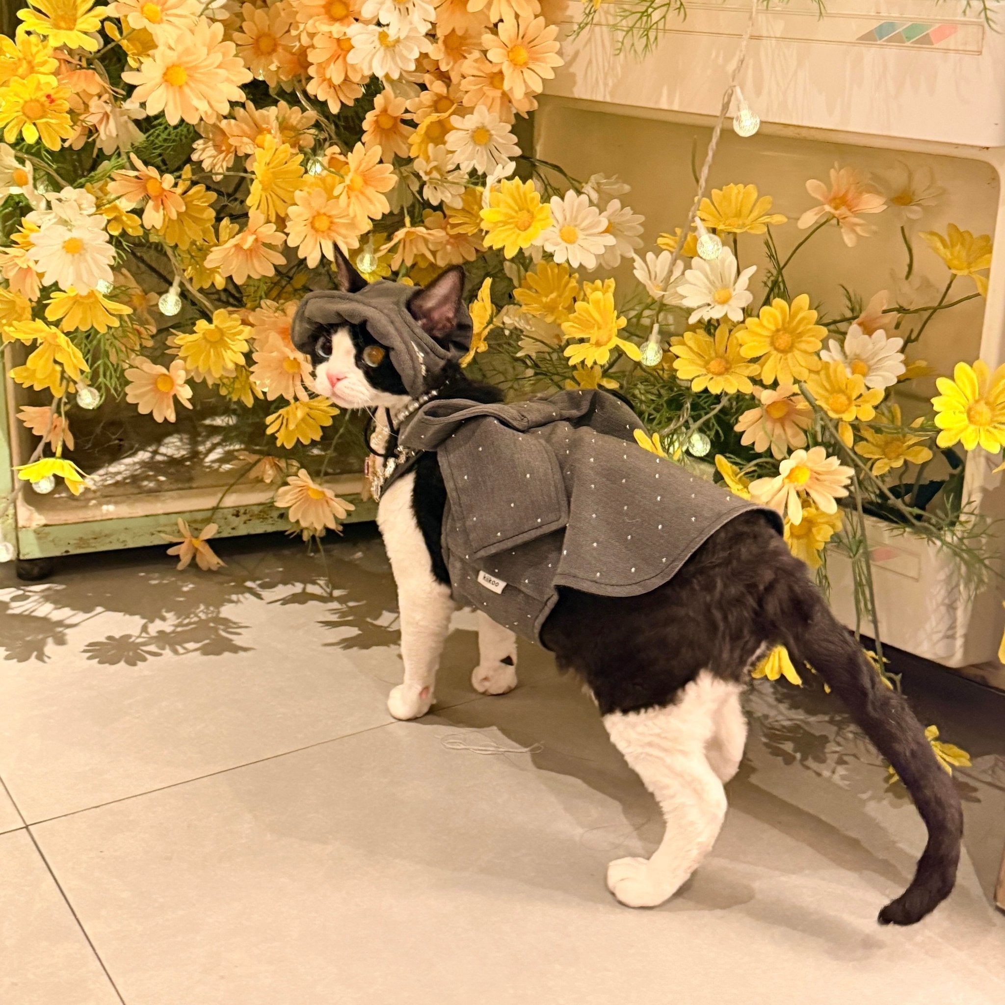 🩶🖤Pet Birthday Gown, Bow Rhinestone Luxury Custom Design - Novo Paw