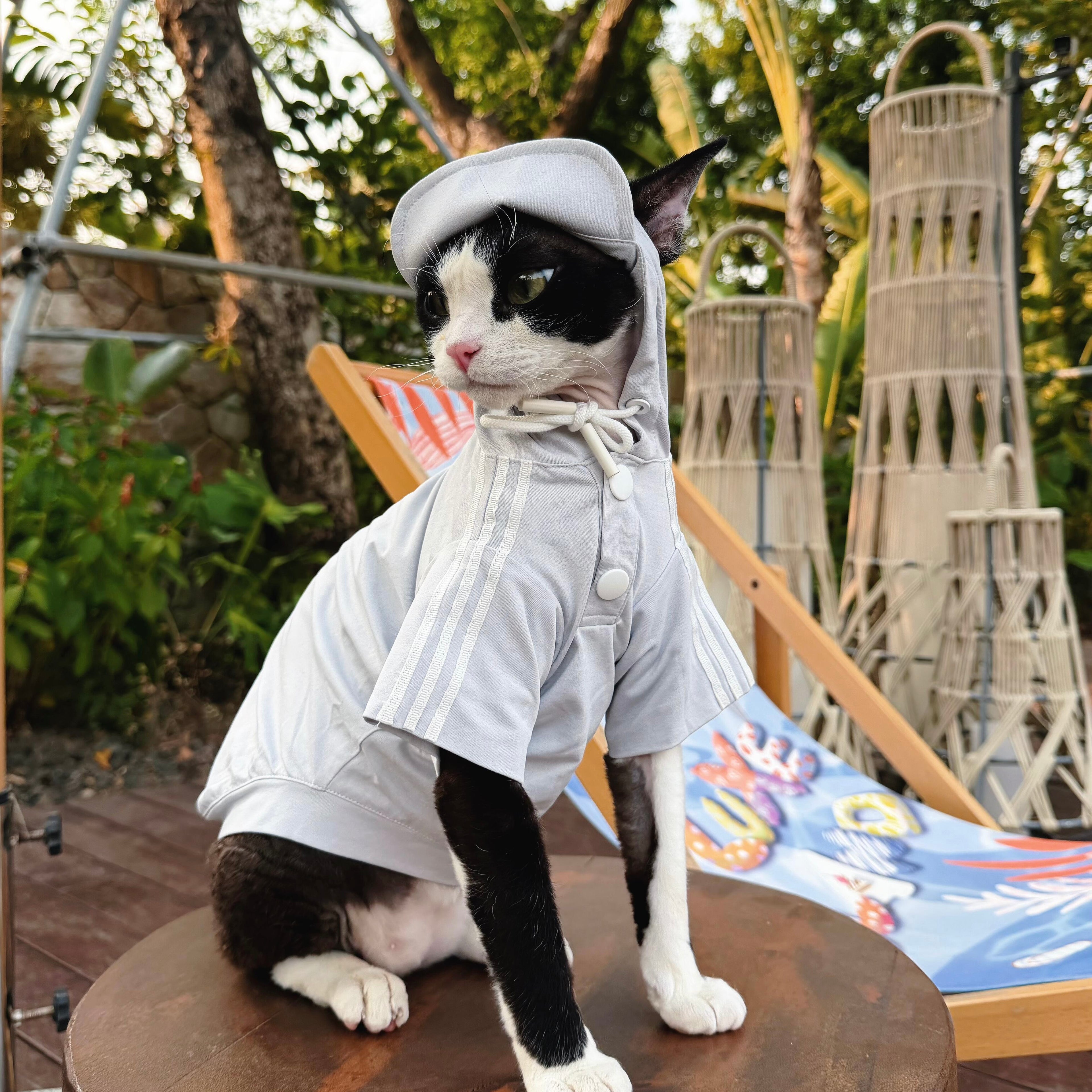 🩶Functional Sun Protection Breathable Hooded Shirt for Cats - Novo Paw