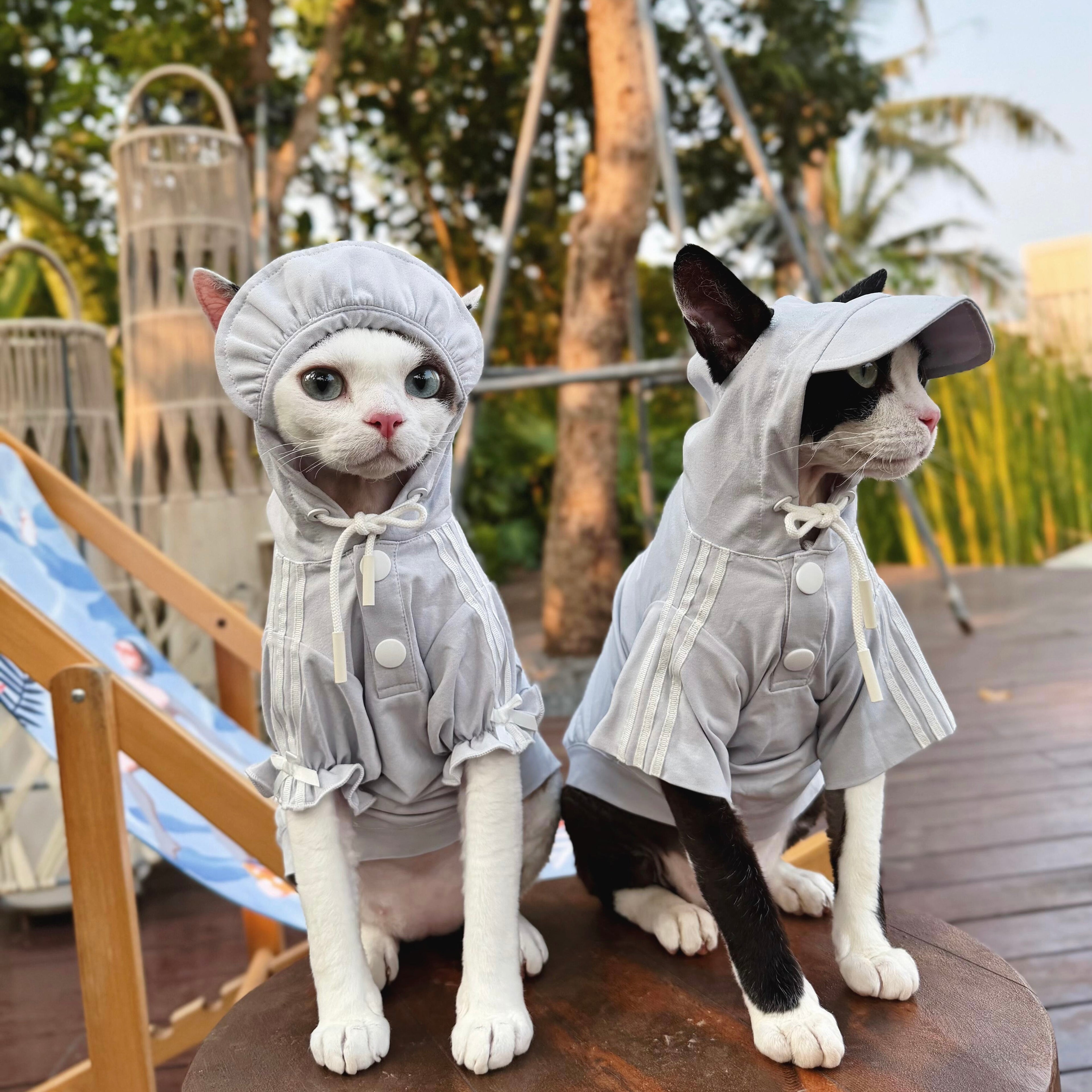 🩶Functional Sun Protection Breathable Hooded Shirt for Cats - Novo Paw