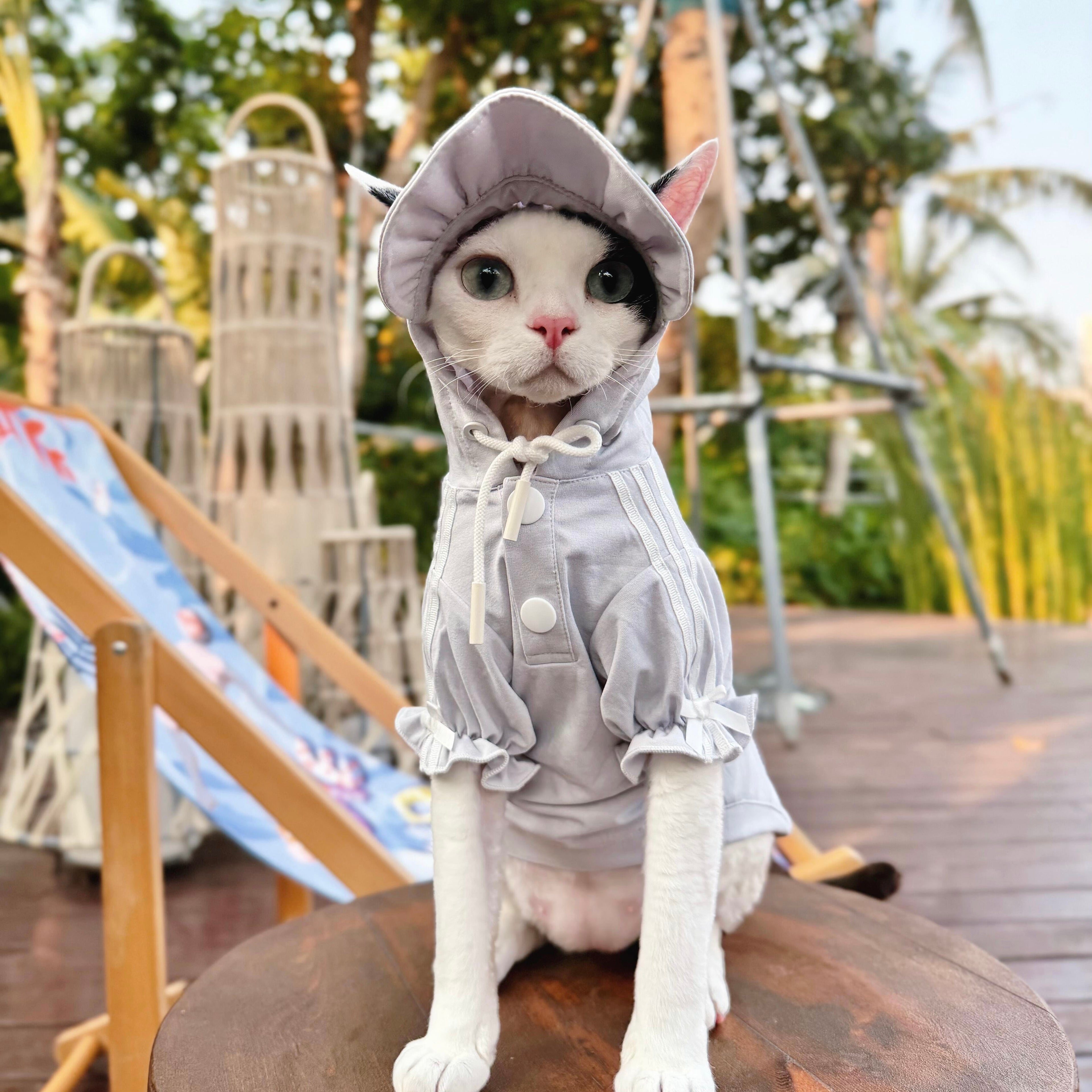 🩶Functional Sun Protection Breathable Hooded Shirt for Cats - Novo Paw