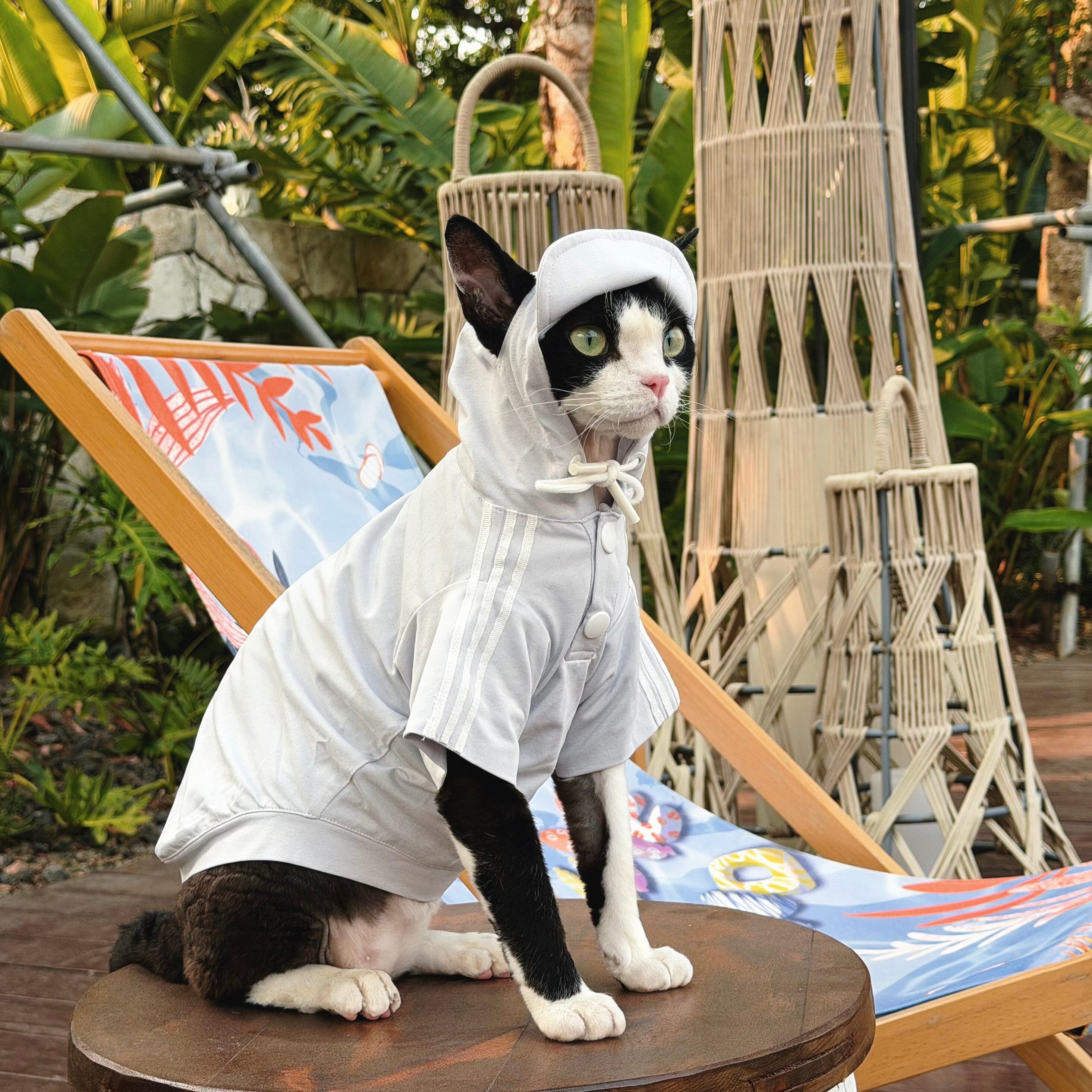 🩶Functional Sun Protection Breathable Hooded Shirt for Cats - Novo Paw