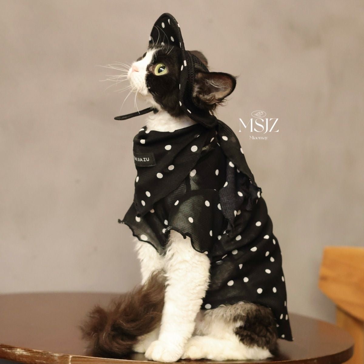 🤍🖤Pet Polka Dot Mesh Breathable Outfit Set - Novo Paw