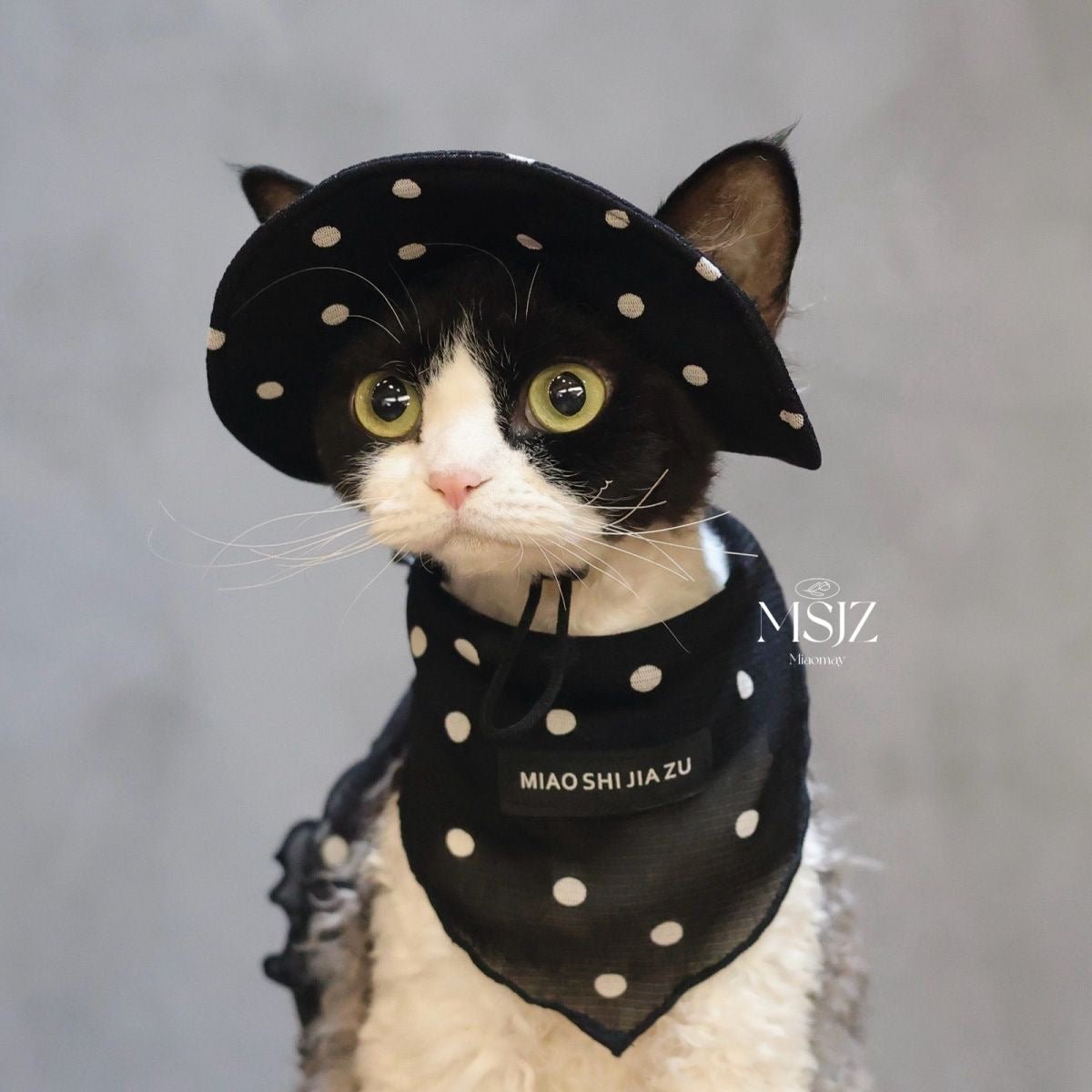 🤍🖤Pet Polka Dot Mesh Breathable Outfit Set - Novo Paw