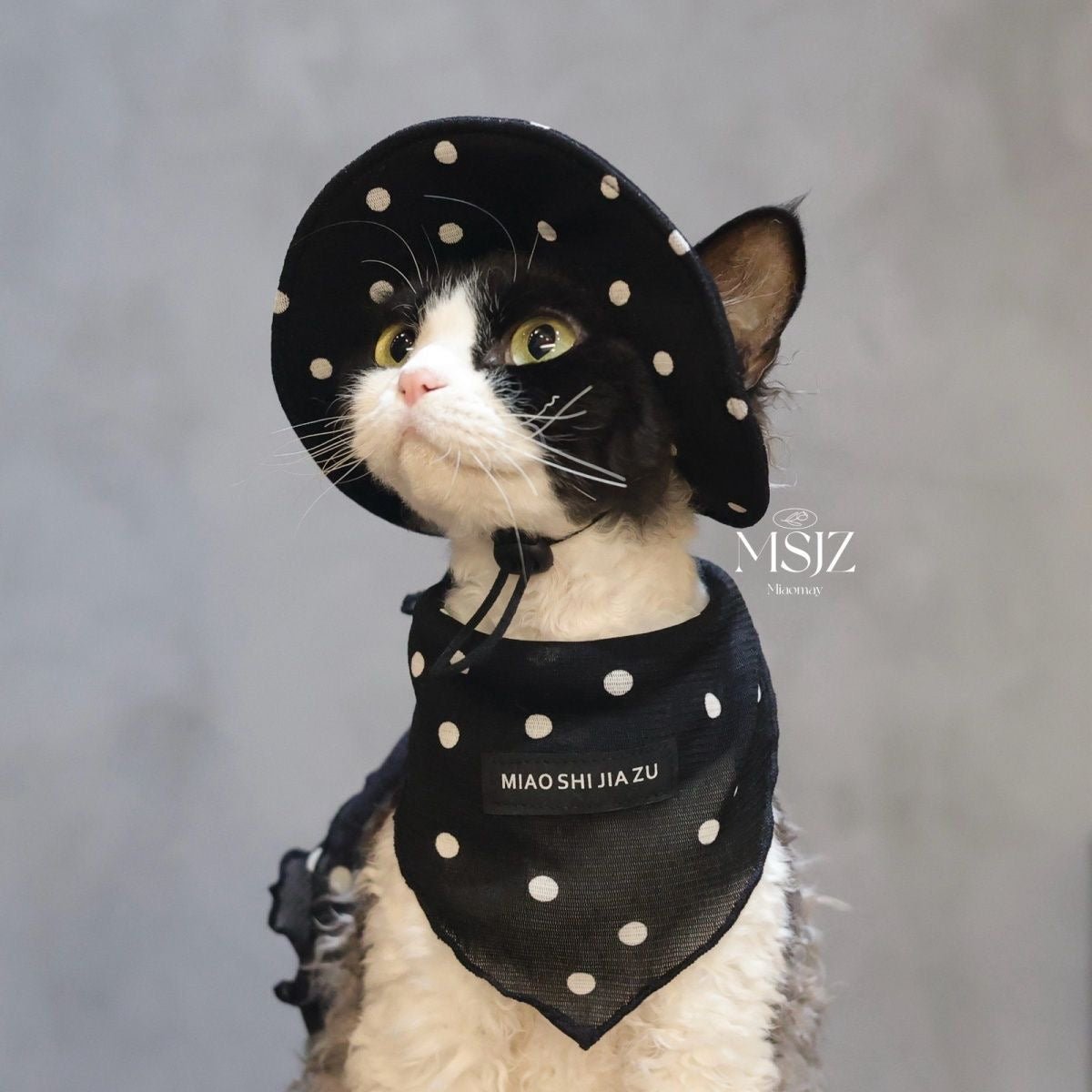 🤍🖤Pet Polka Dot Mesh Breathable Outfit Set - Novo Paw