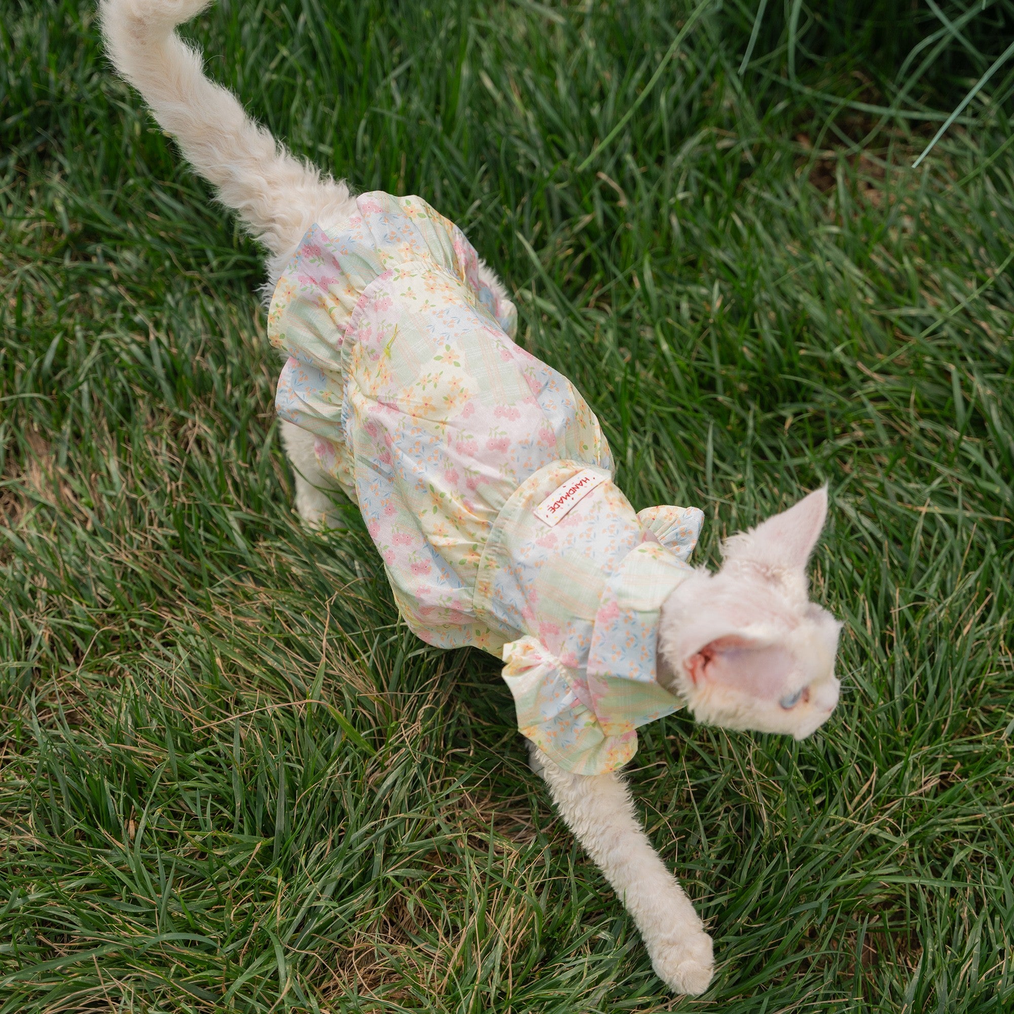 💚Color Block Floral Cotton Pet Dress - Novo Paw