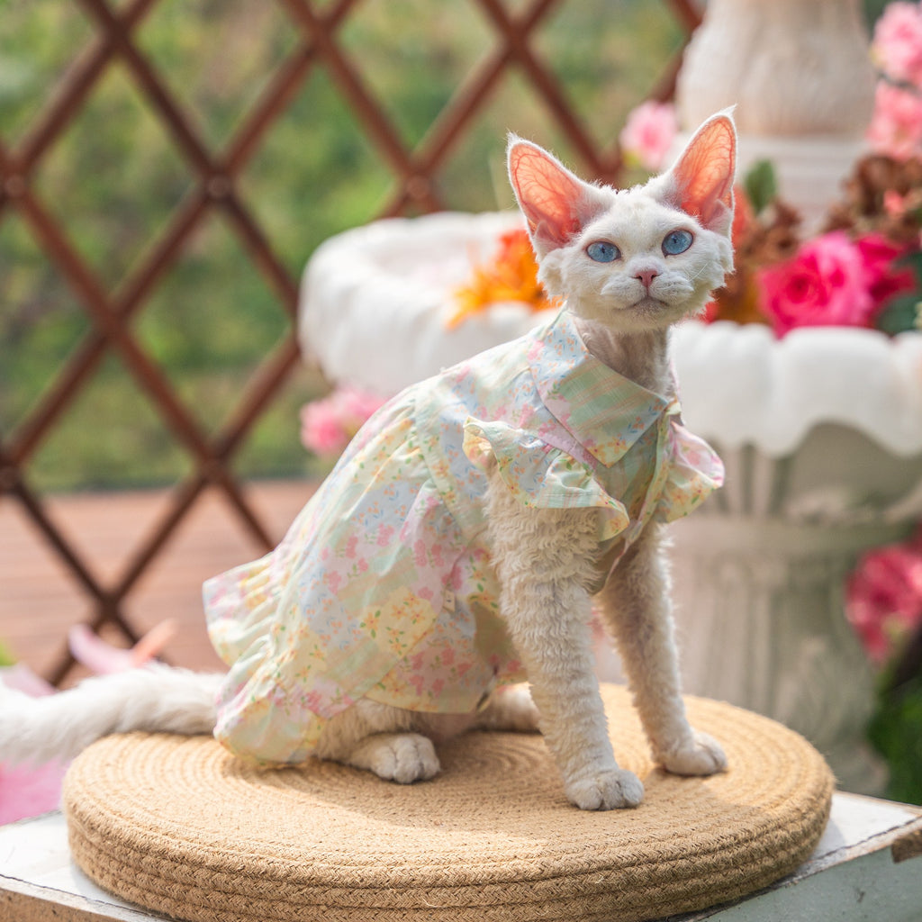 💚Color Block Floral Cotton Pet Dress - Novo Paw