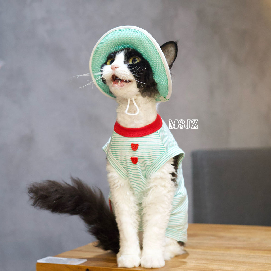 Cute Bee Thin Cotton Pet Outfit with Hat - Breathable Clothes for Hairless Cats - Novo Paw