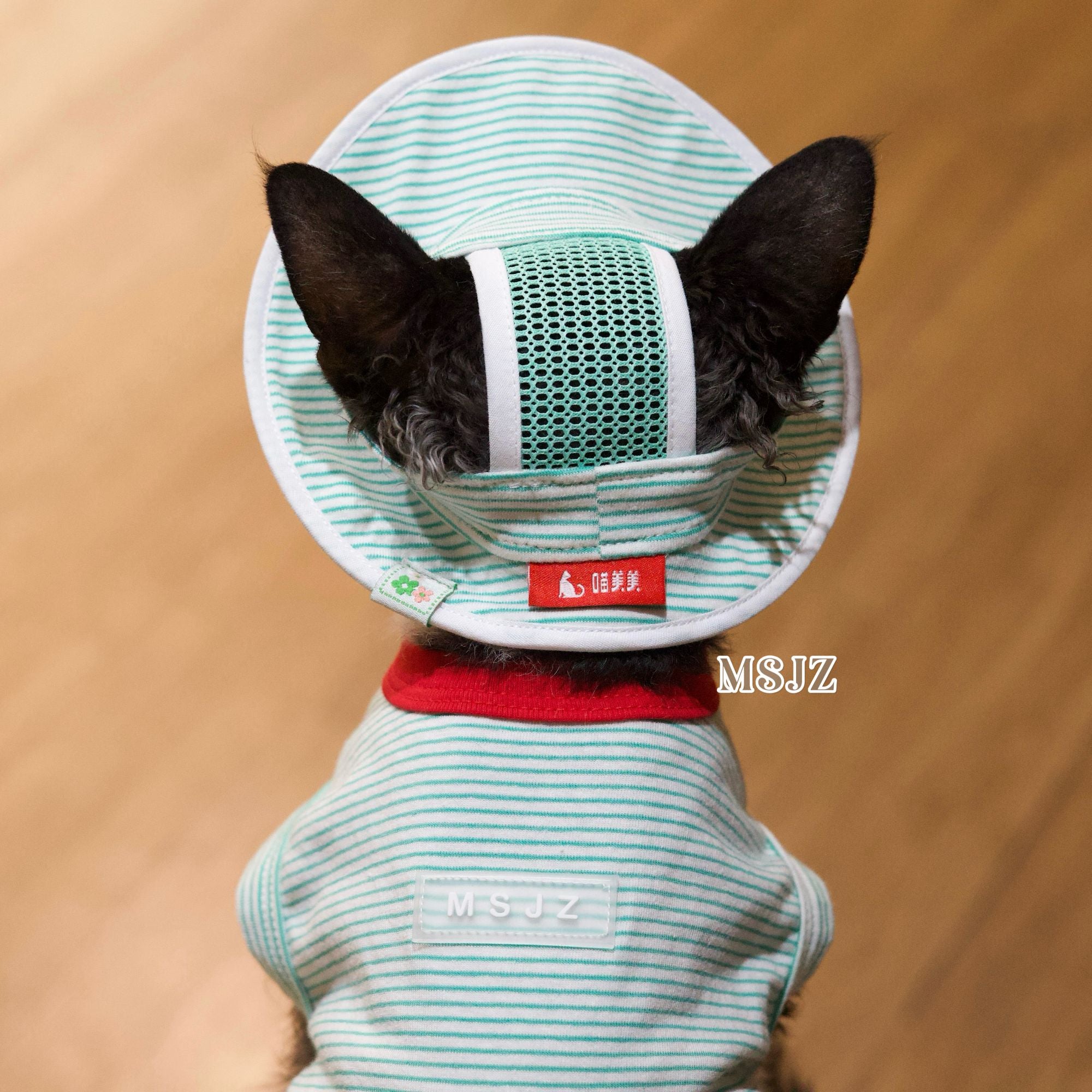 Cute Bee Thin Cotton Pet Outfit with Hat - Breathable Clothes for Hairless Cats - Novo Paw