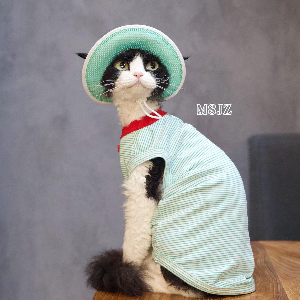 Cute Bee Thin Cotton Pet Outfit with Hat - Breathable Clothes for Hairless Cats - Novo Paw