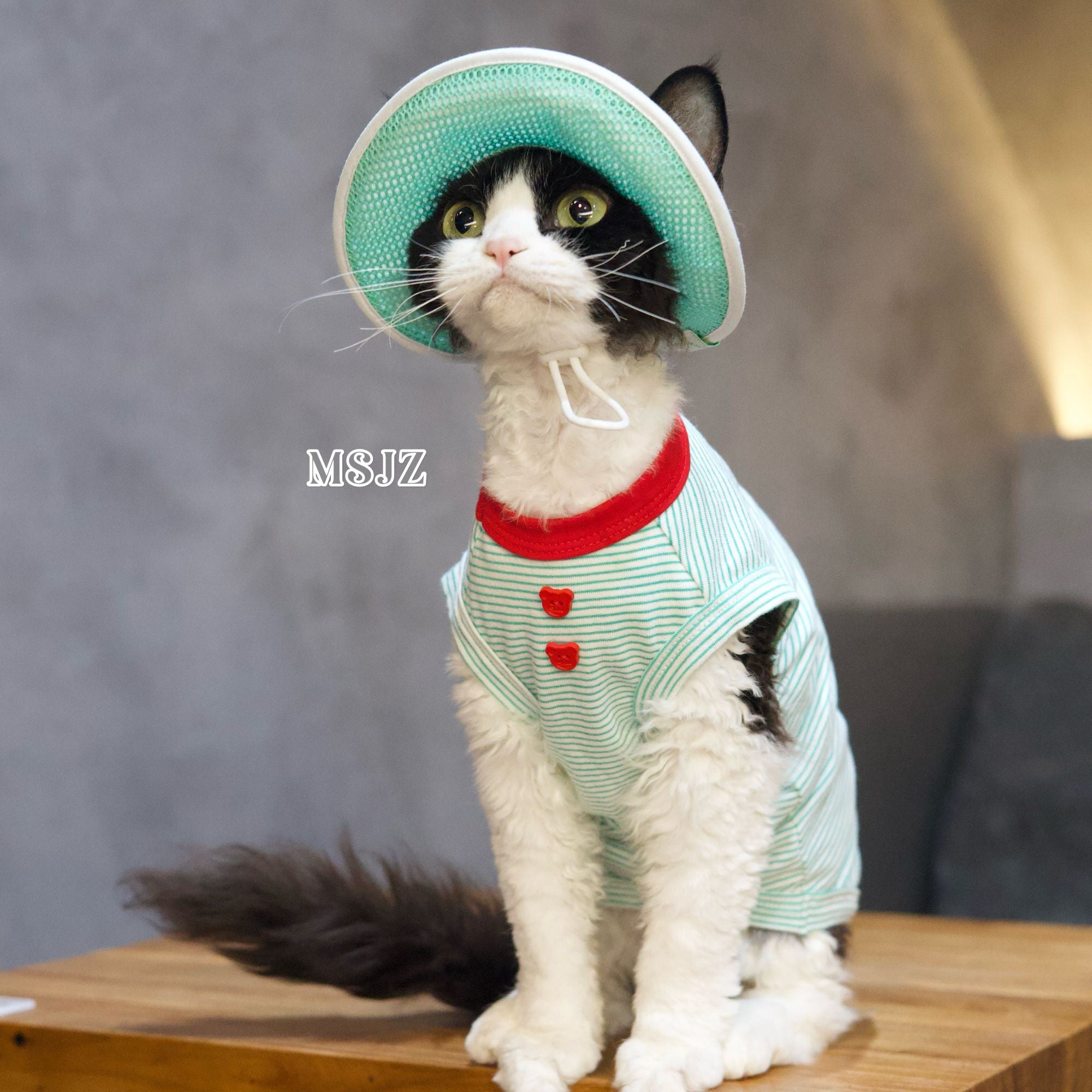 Cute Bee Thin Cotton Pet Outfit with Hat - Breathable Clothes for Hairless Cats - Novo Paw