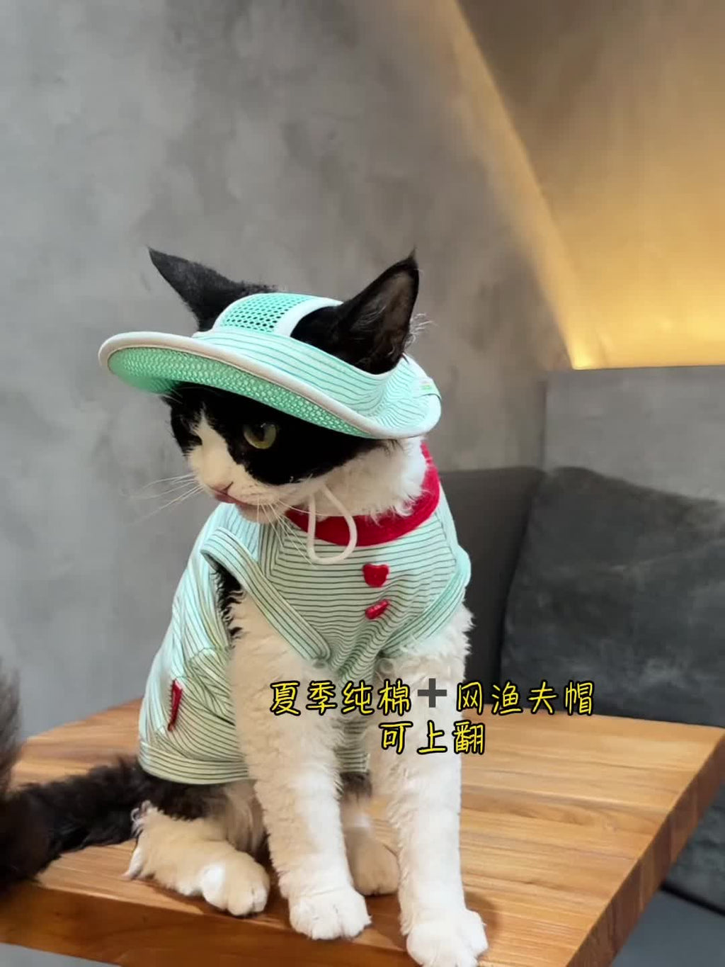 Cute Bee Thin Cotton Pet Outfit with Hat - Breathable Clothes for Hairless Cats - Novo Paw