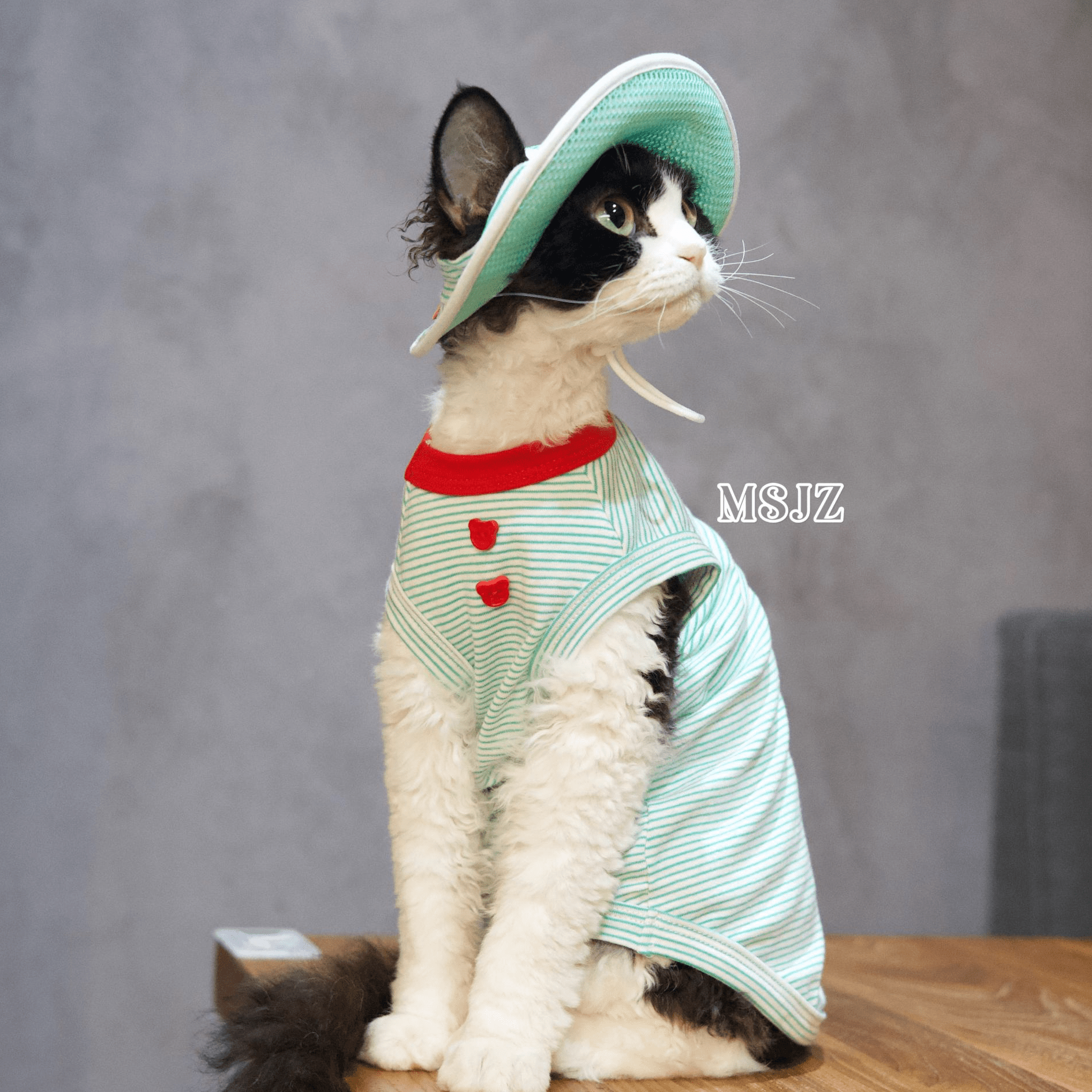 Cute Bee Thin Cotton Pet Outfit with Hat - Breathable Clothes for Hairless Cats - Novo Paw